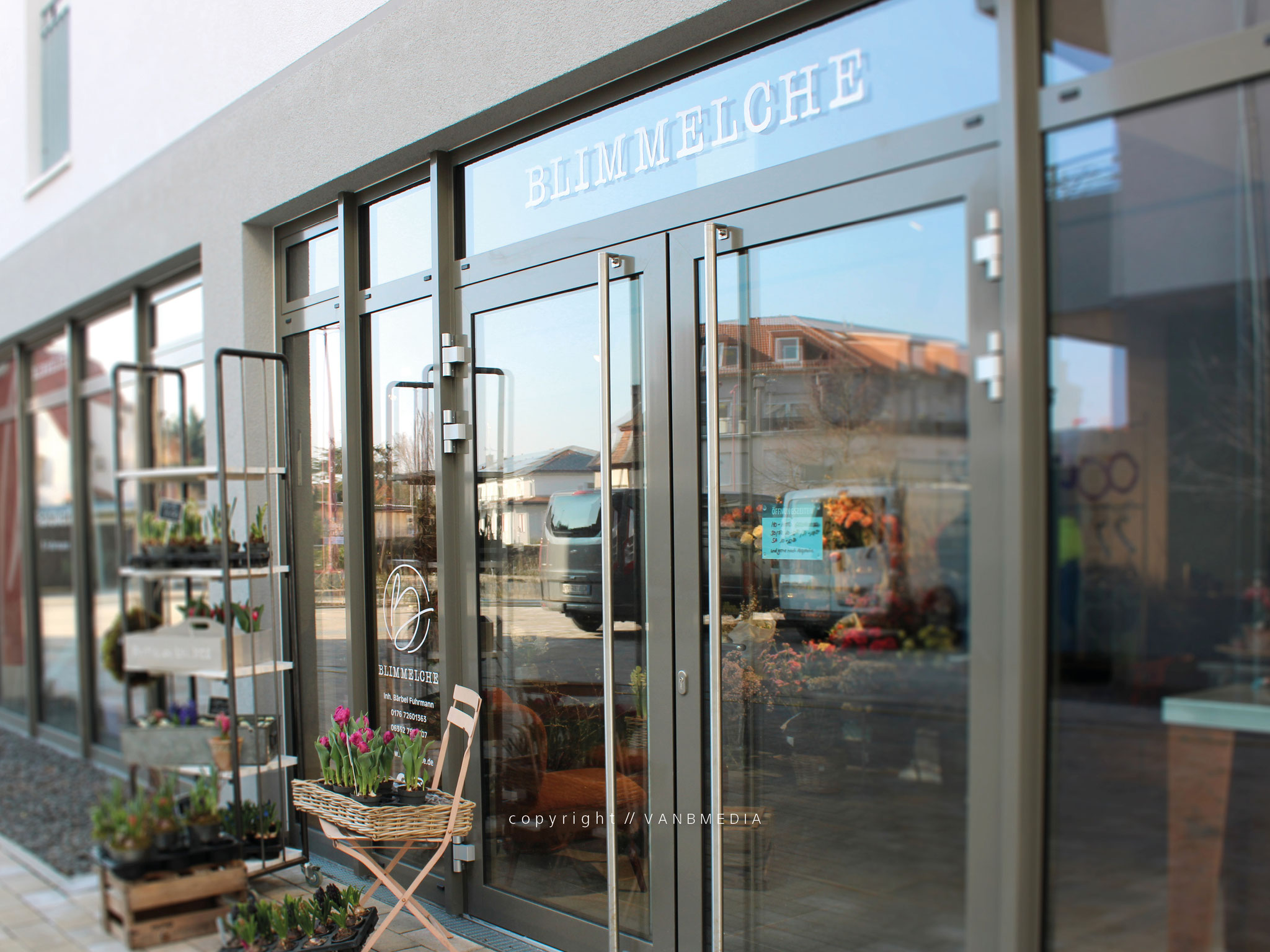 Corporate Design // Schaufenster