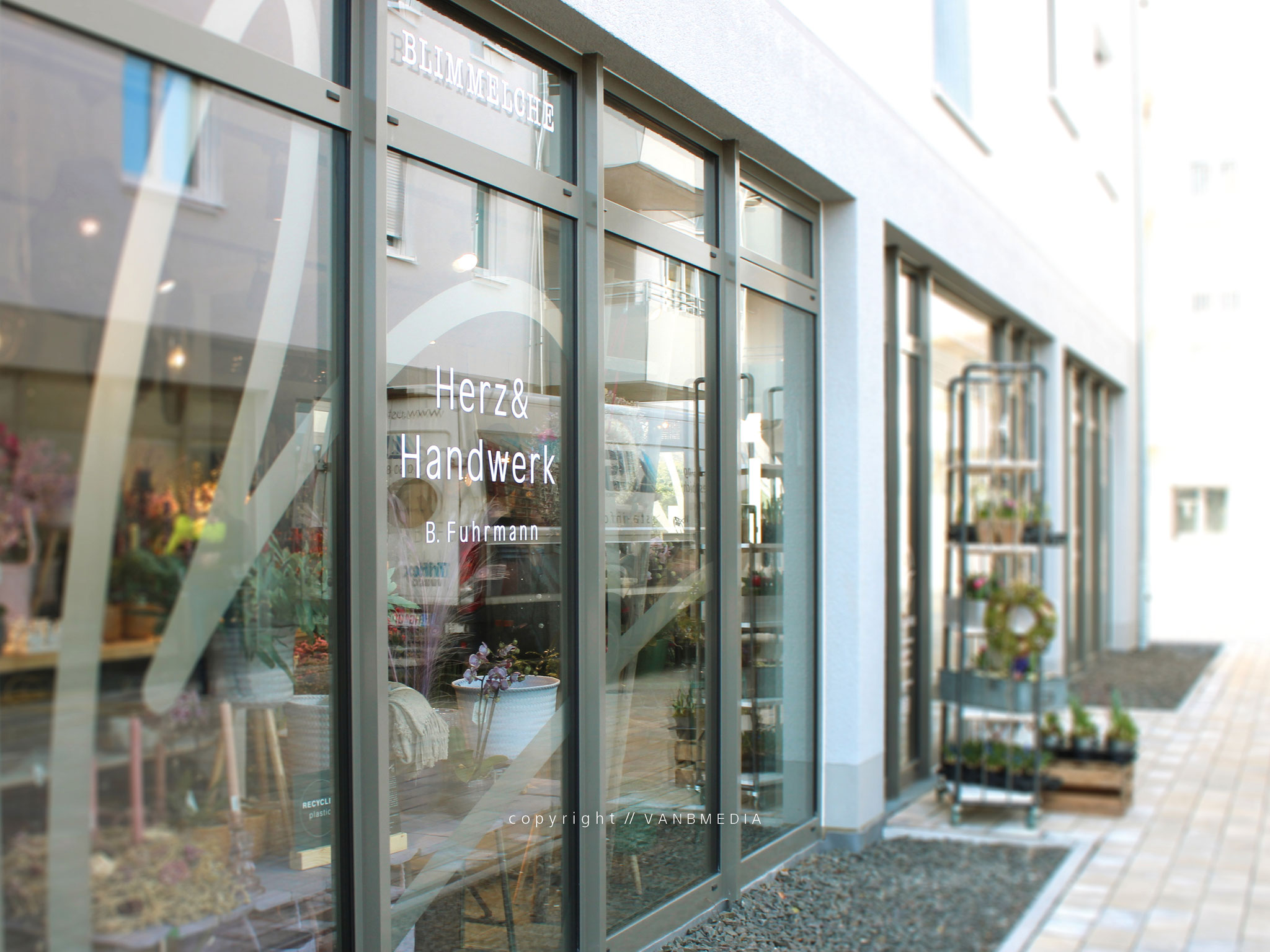 Corporate Design // Schaufenster