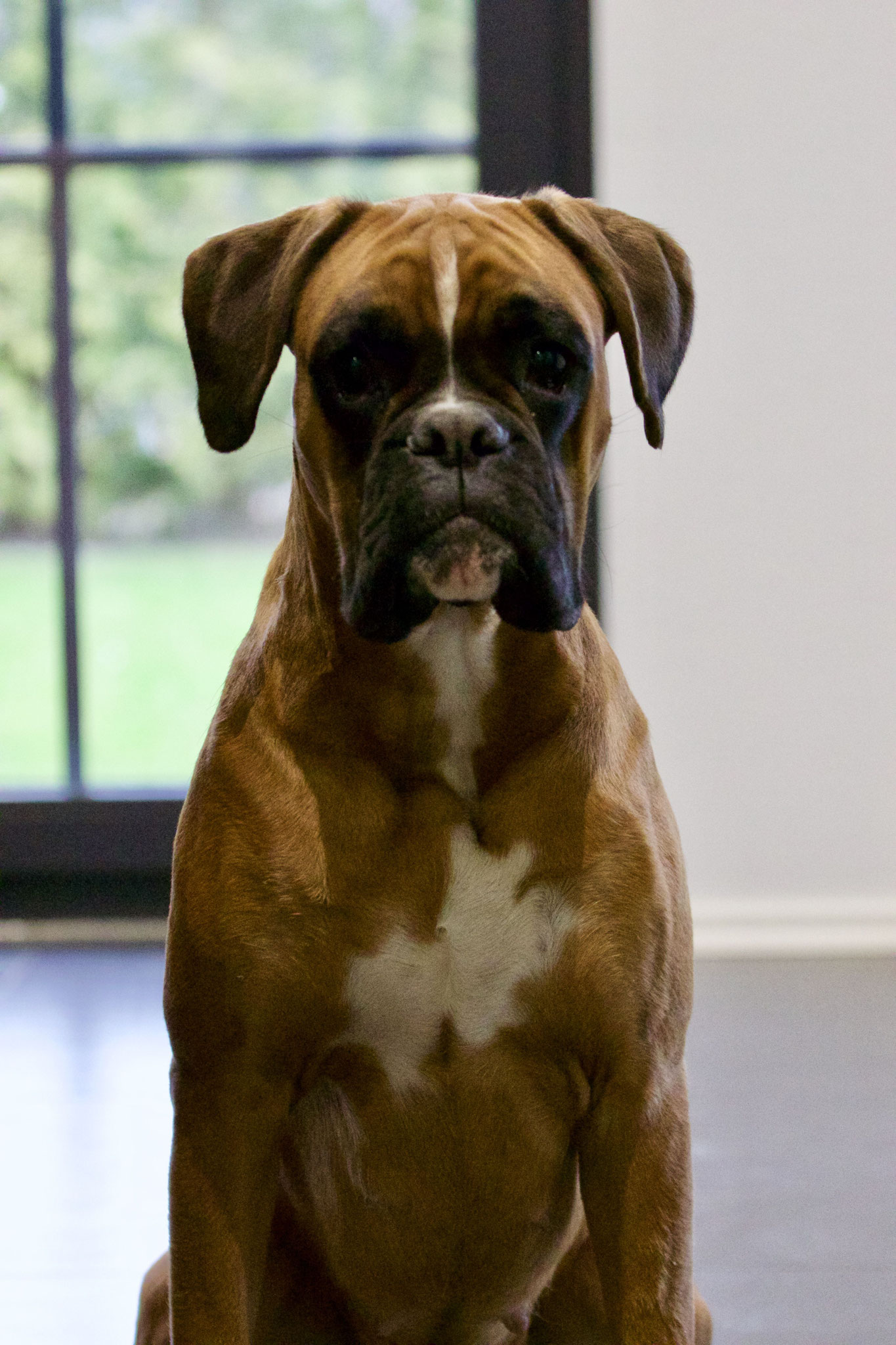 1 Jahr