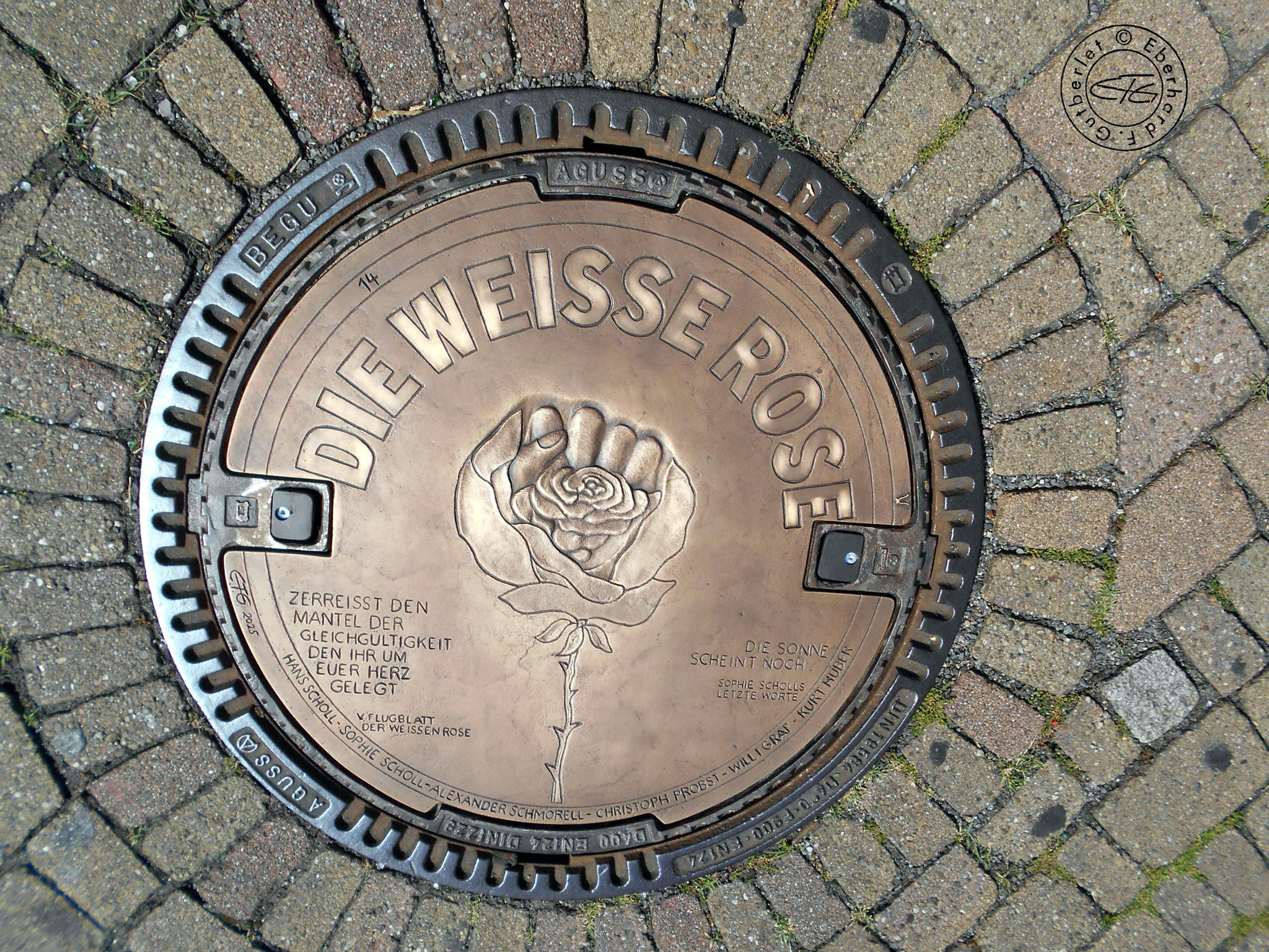 Die weiße Rose – Bronzeguss, Ø 630 mm, 2025