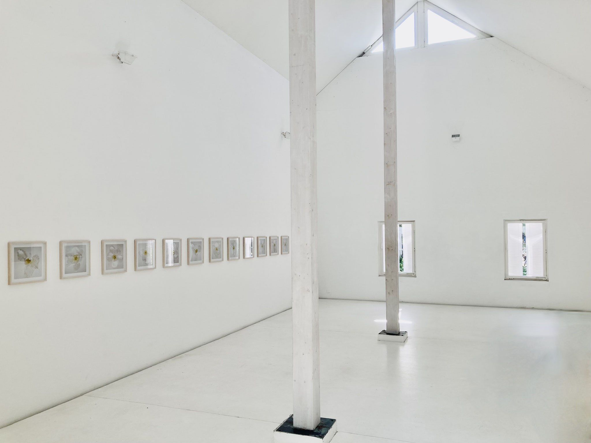 Ursula Neugebauer I still und stand I exhibition view Brigitte March ICA