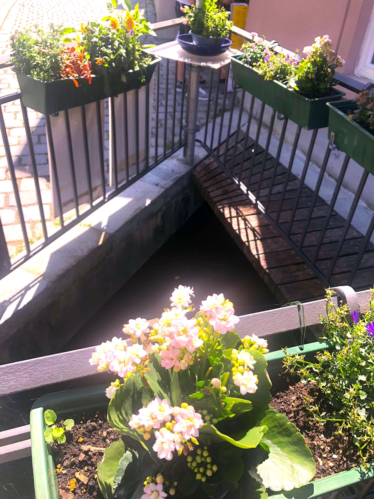 Die zauberhaften Lechkanäle in der Augsburger Altstadt