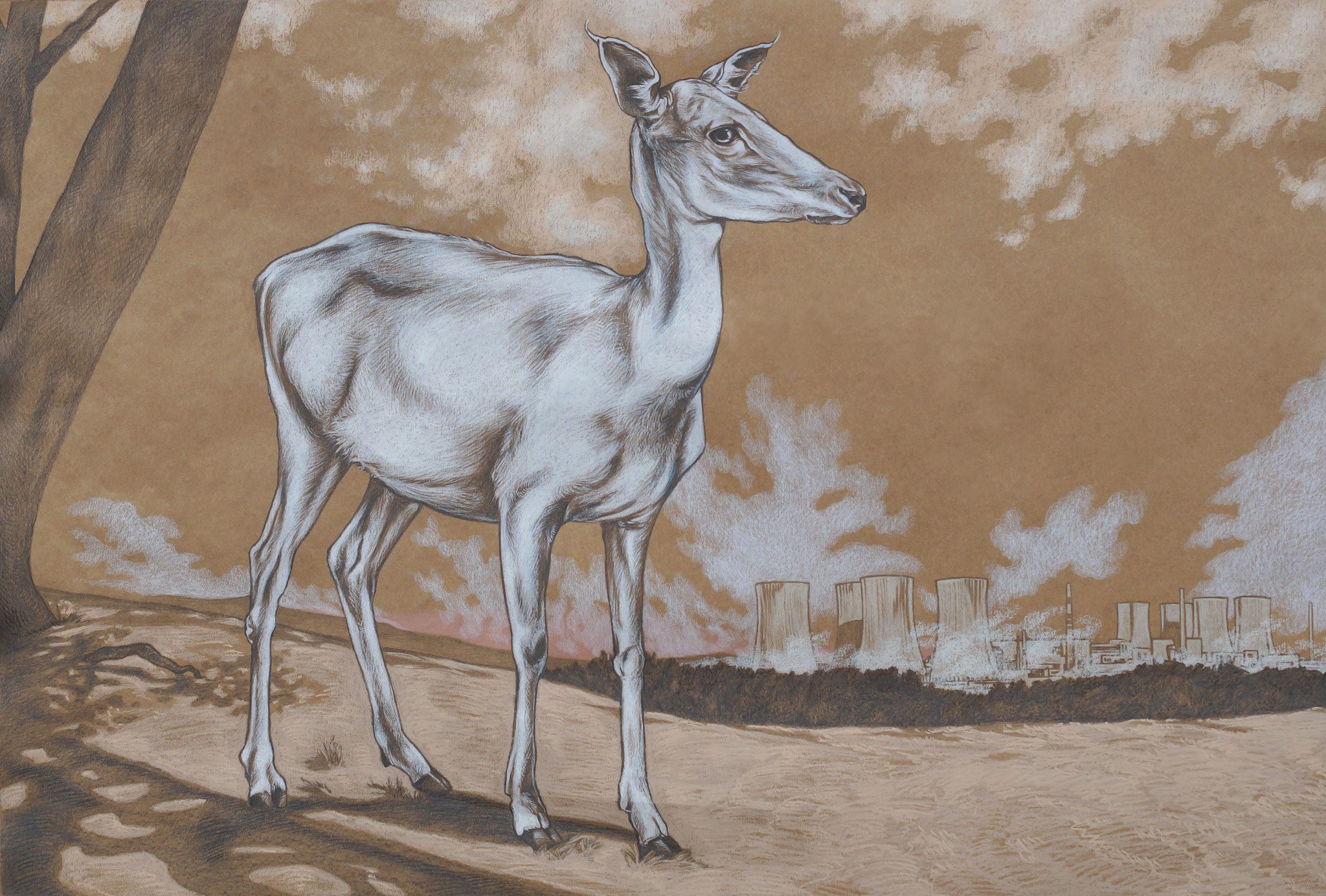 Species - Bleistift und Pastell auf Papier, 100 x 60 cm, 2019