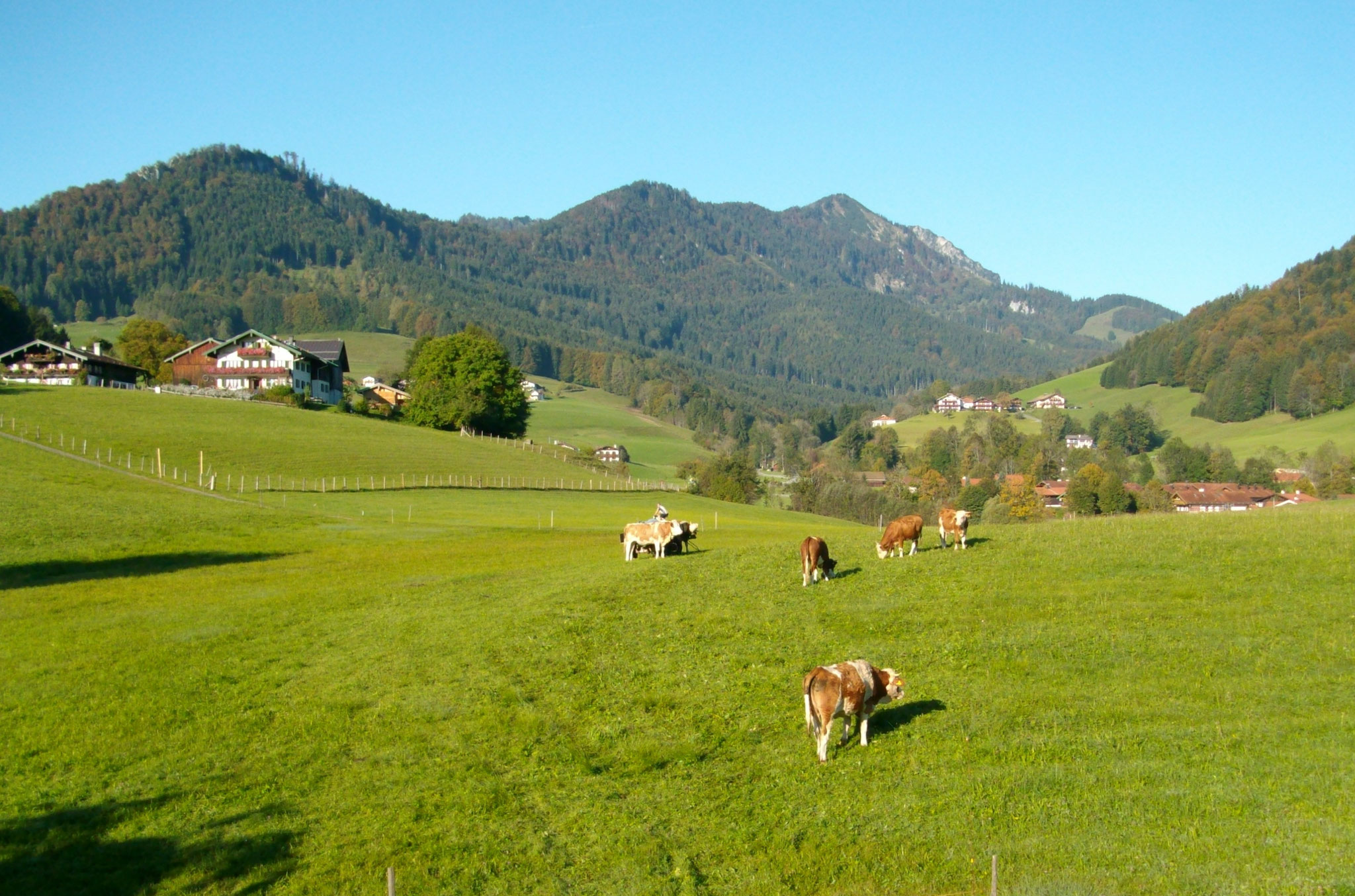 Aussicht vom Balkon auf den Hochfelln