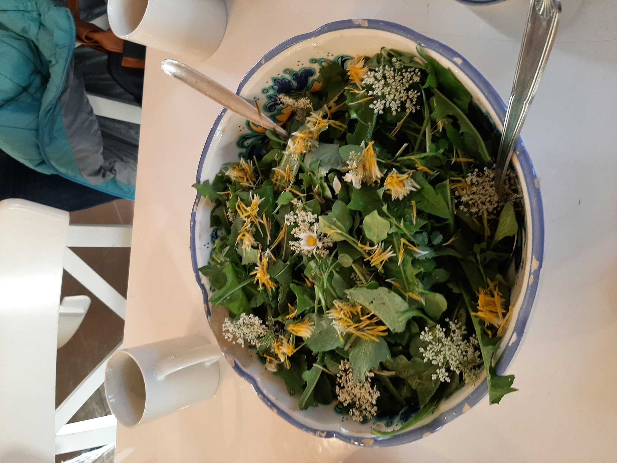 salade sauvage