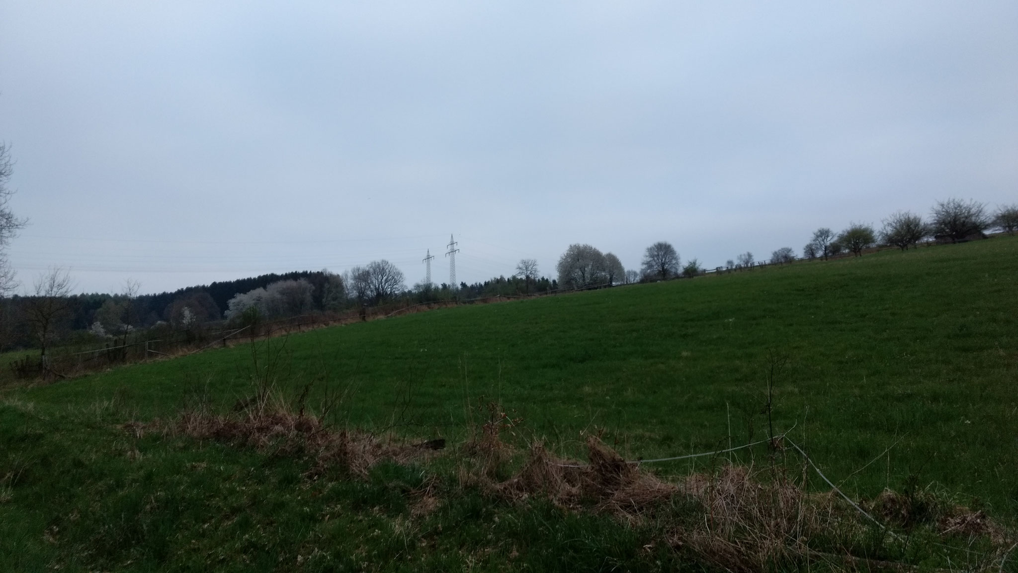 Vogelstimmenwanderung, Rundweg 07.04.2017