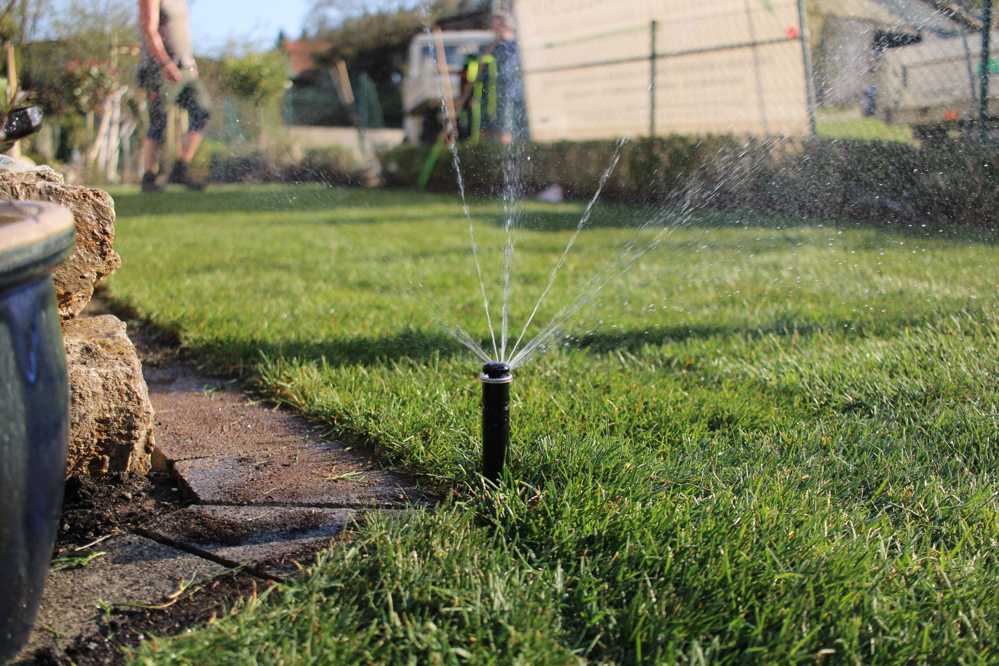 Der Rasen - GartenXclusiv