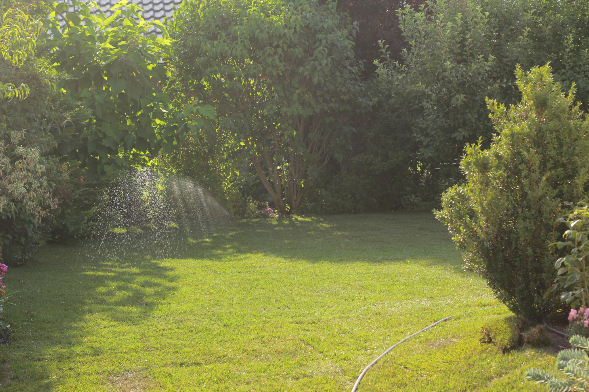 Der Rasen - GartenXclusiv