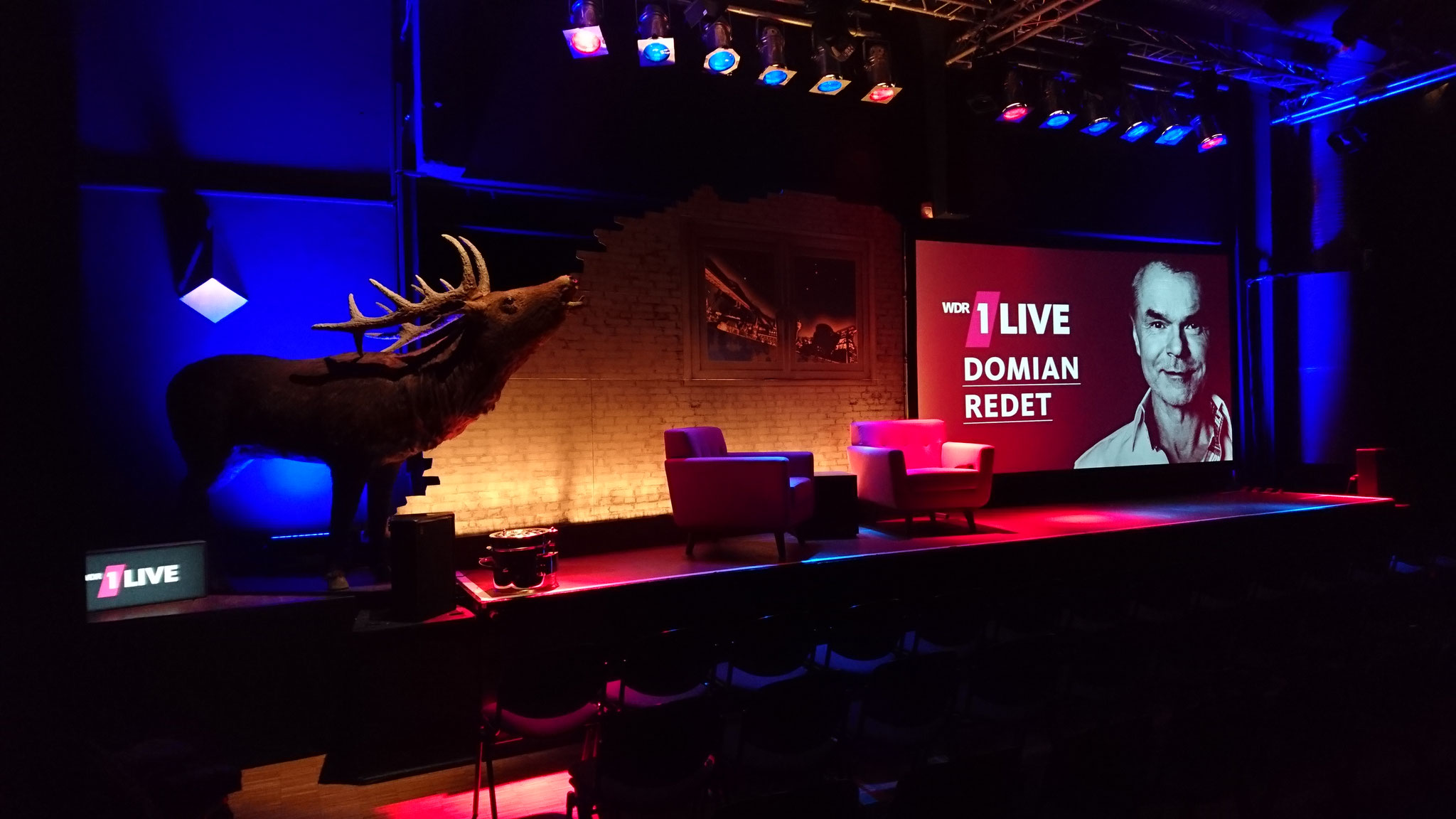 WDR 1LIVE // Domian redet