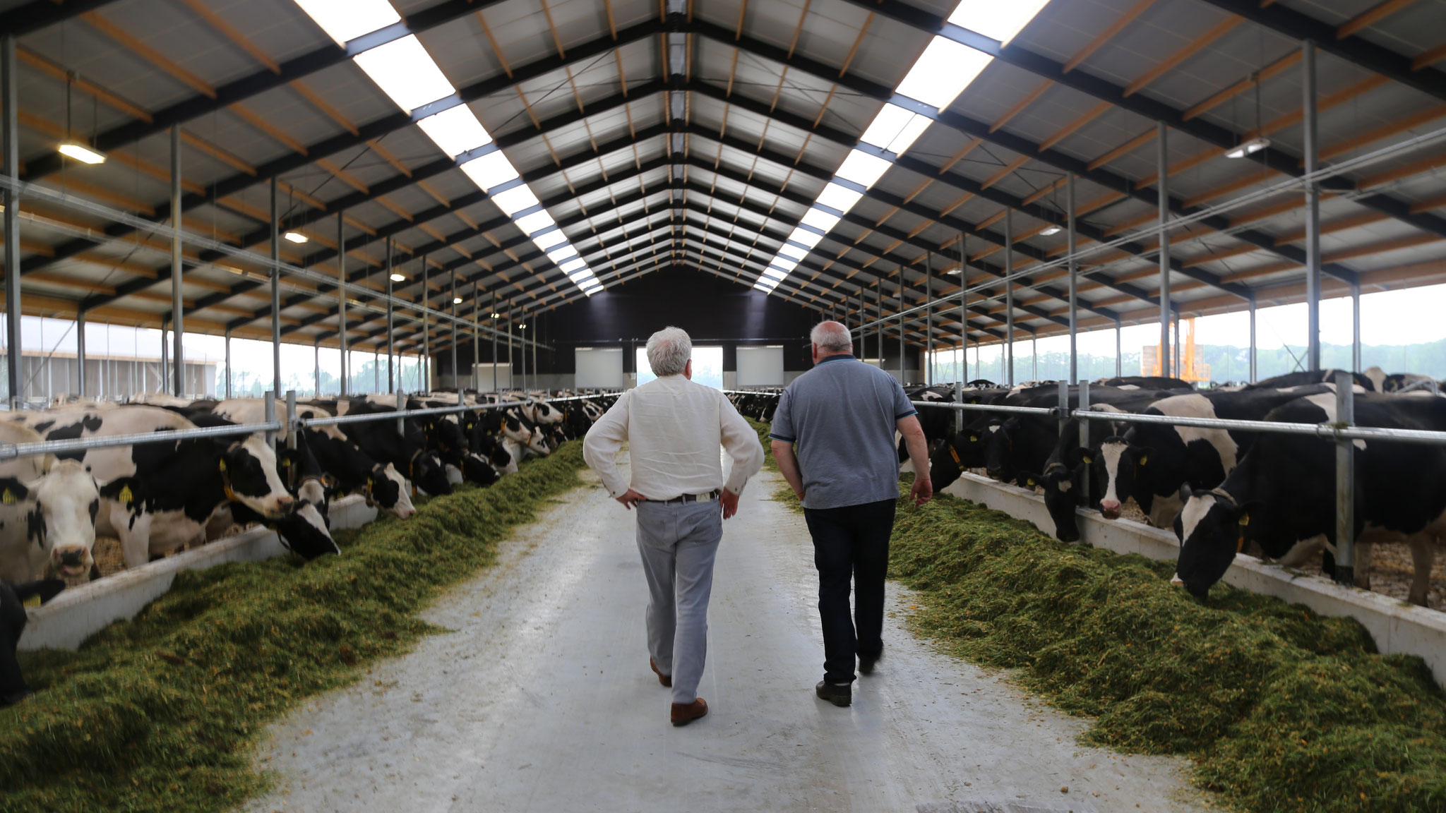 Modernisation of food provision: Dairy