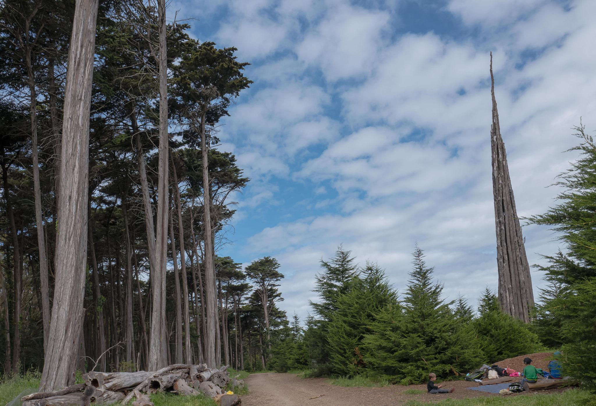 Presidio Ecological Trail and education of school classes