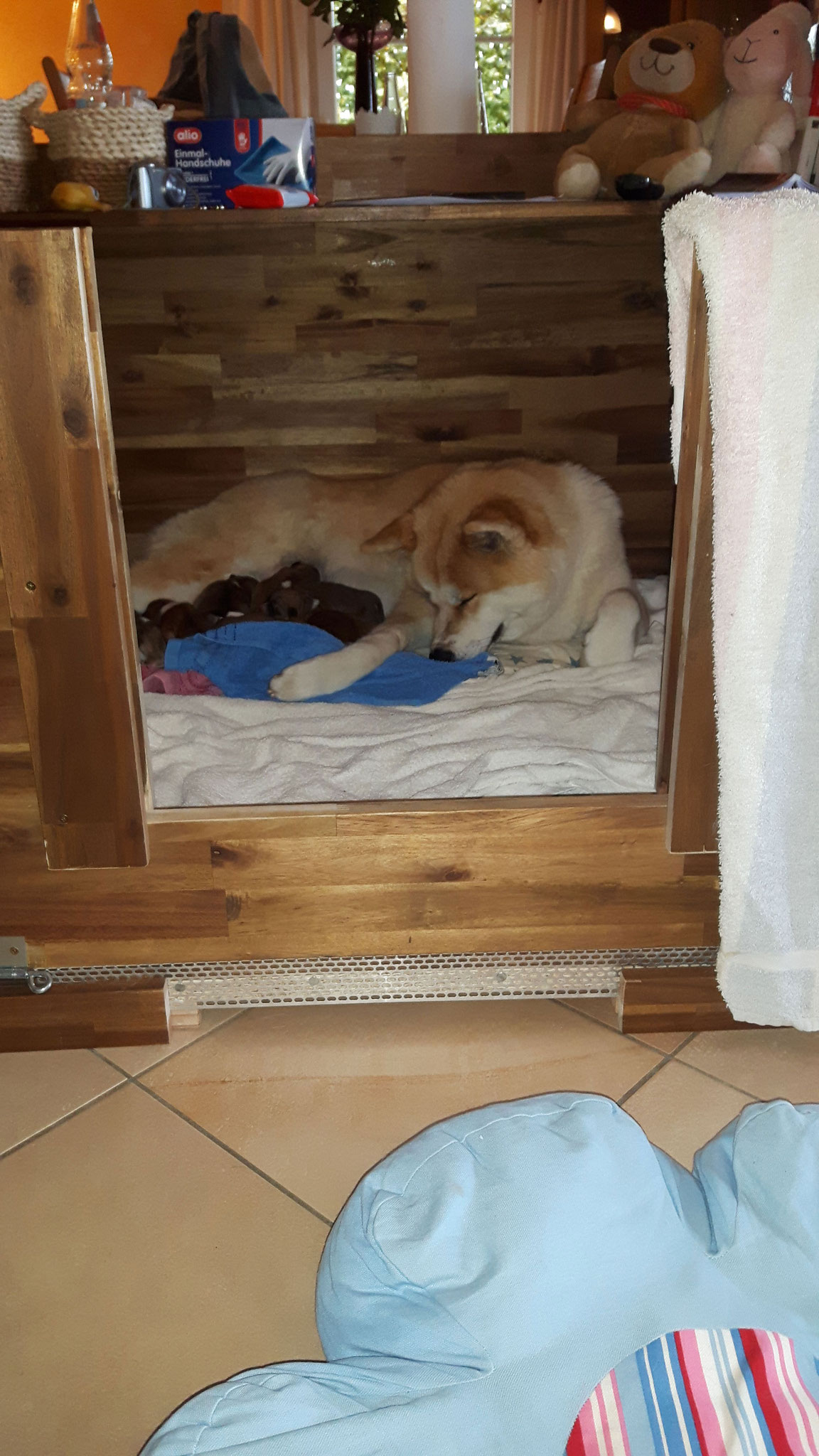 GESCHAFFT !!