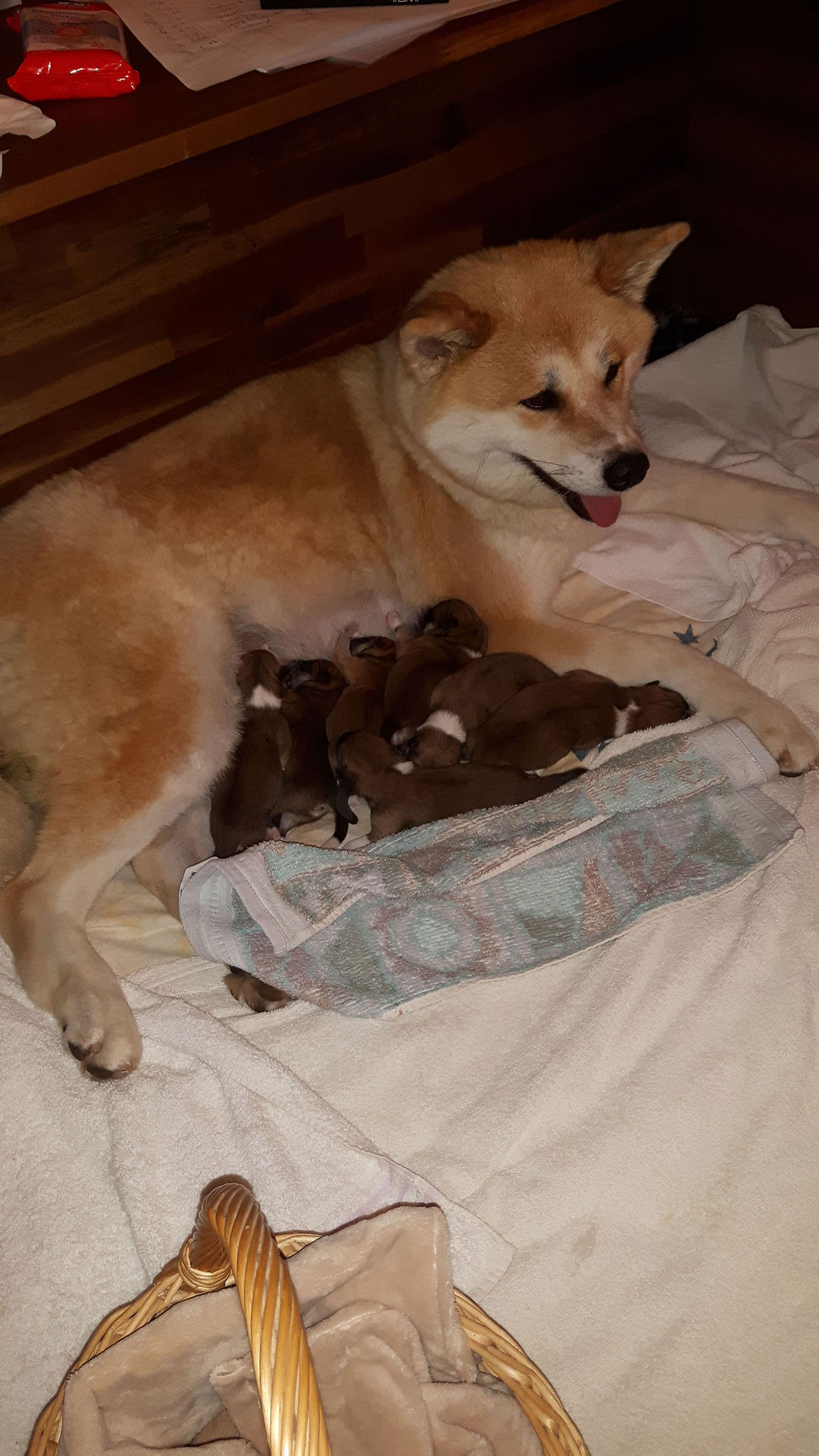 .. und eine glückliche Mama
