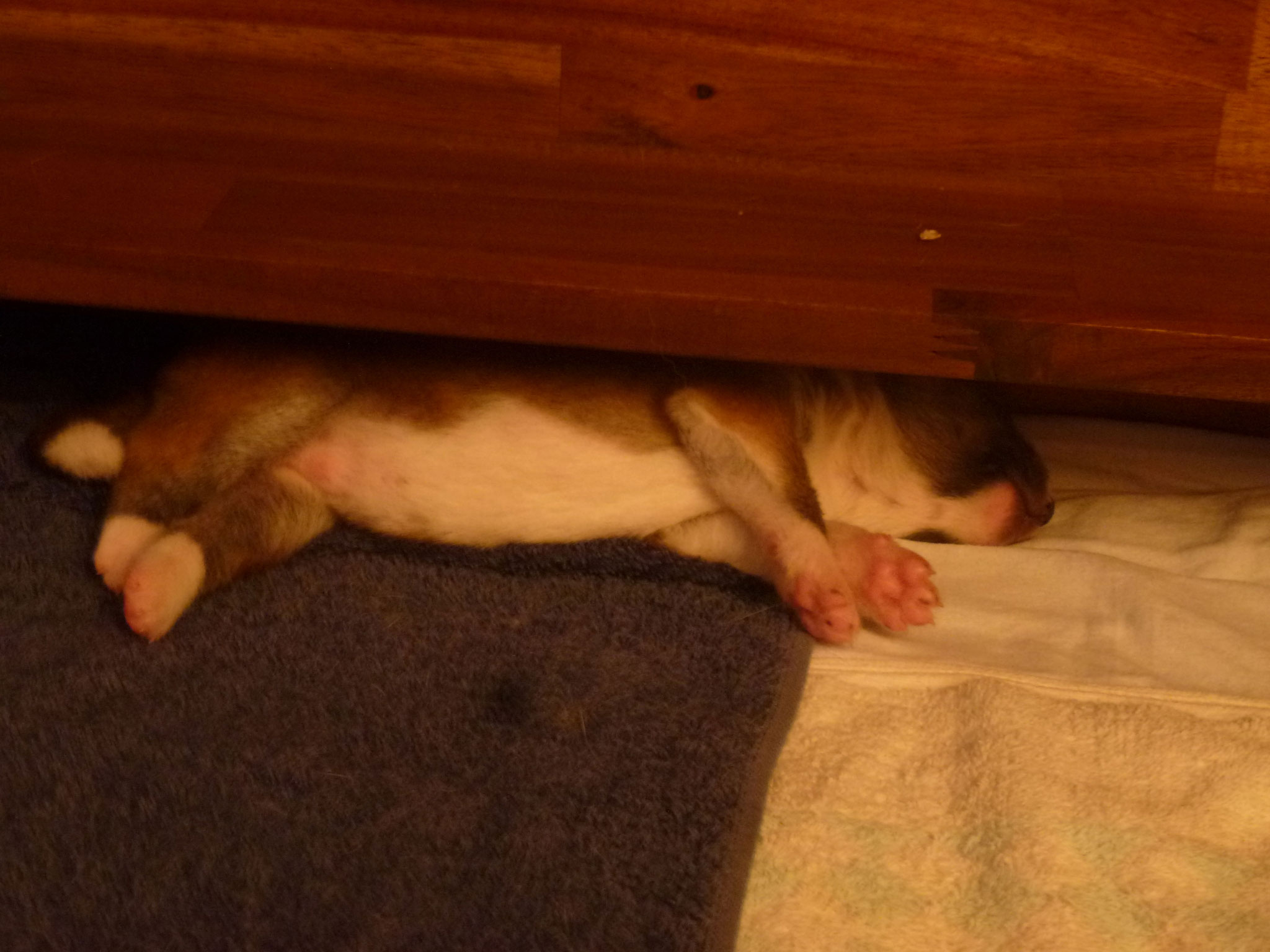 .. noch pass ich da drunter .