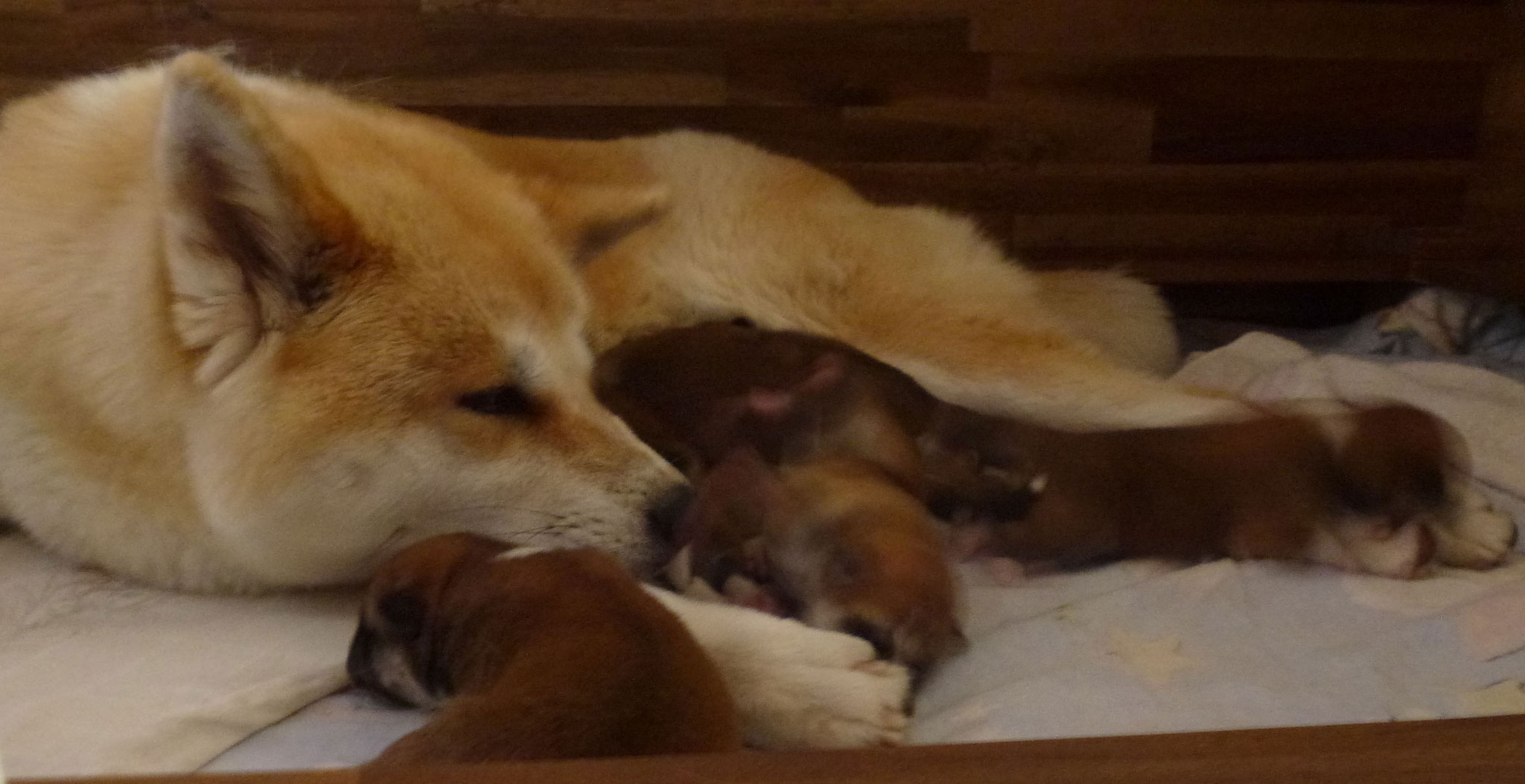 Mama Umeko ist immer gechillt