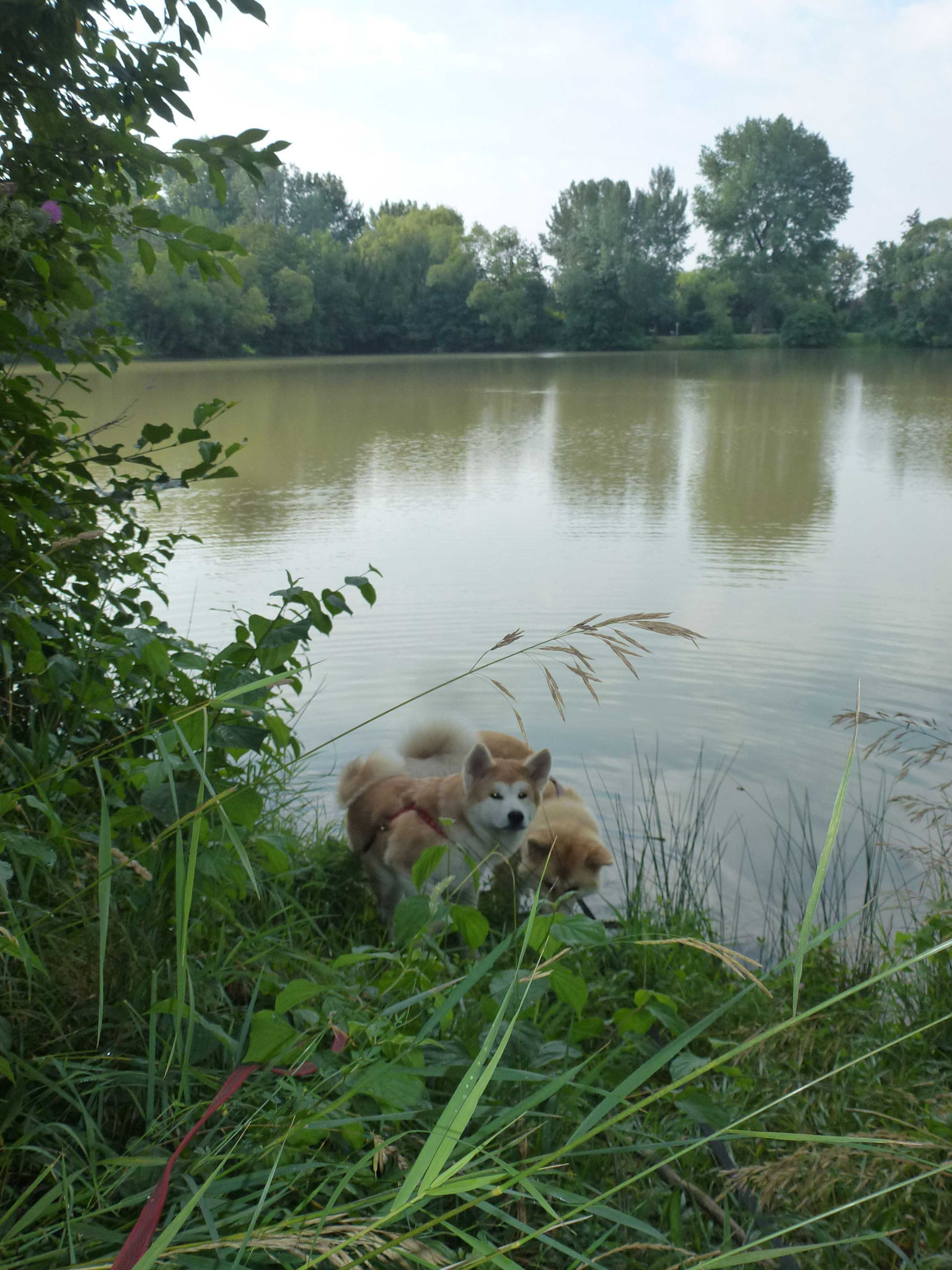 Stadtsee Iphofen