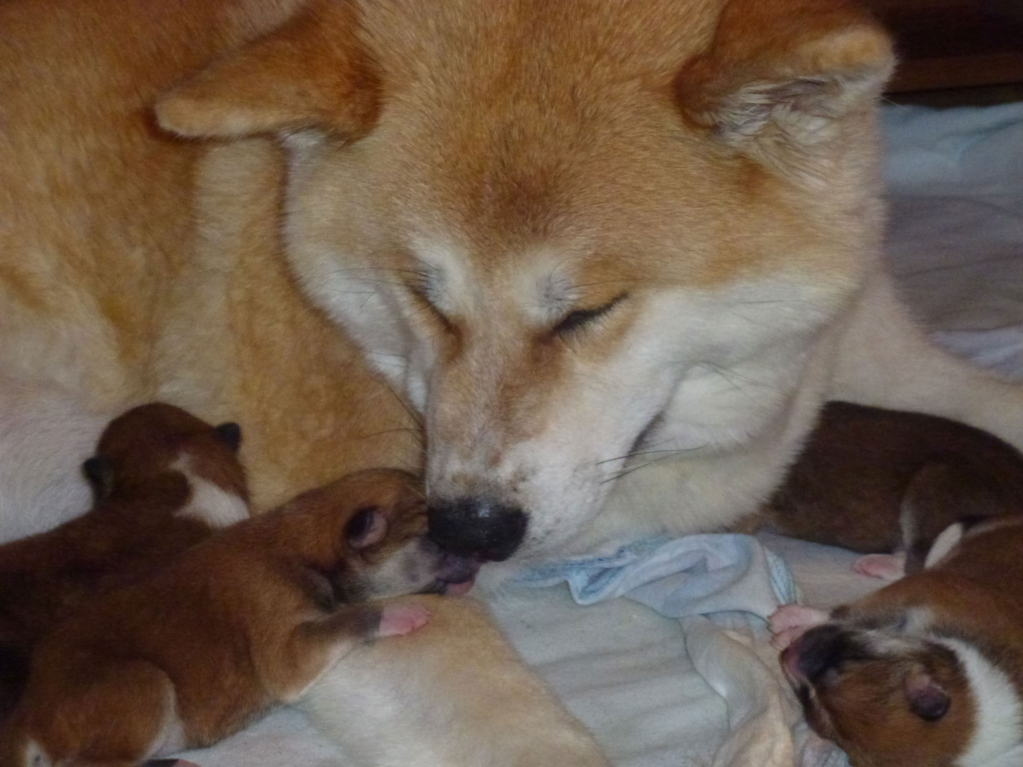 Mama ist die Beste !!!