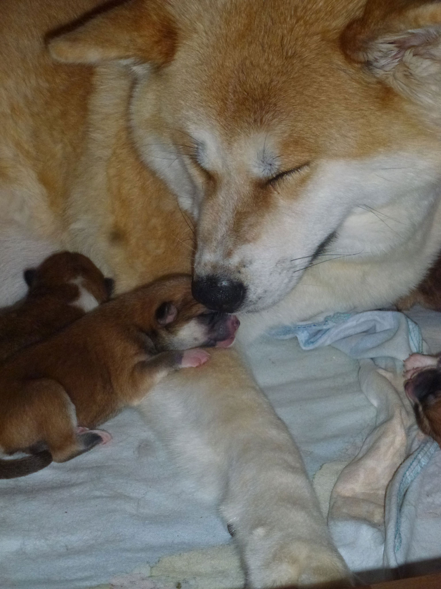 Mama ist so zärtlich.