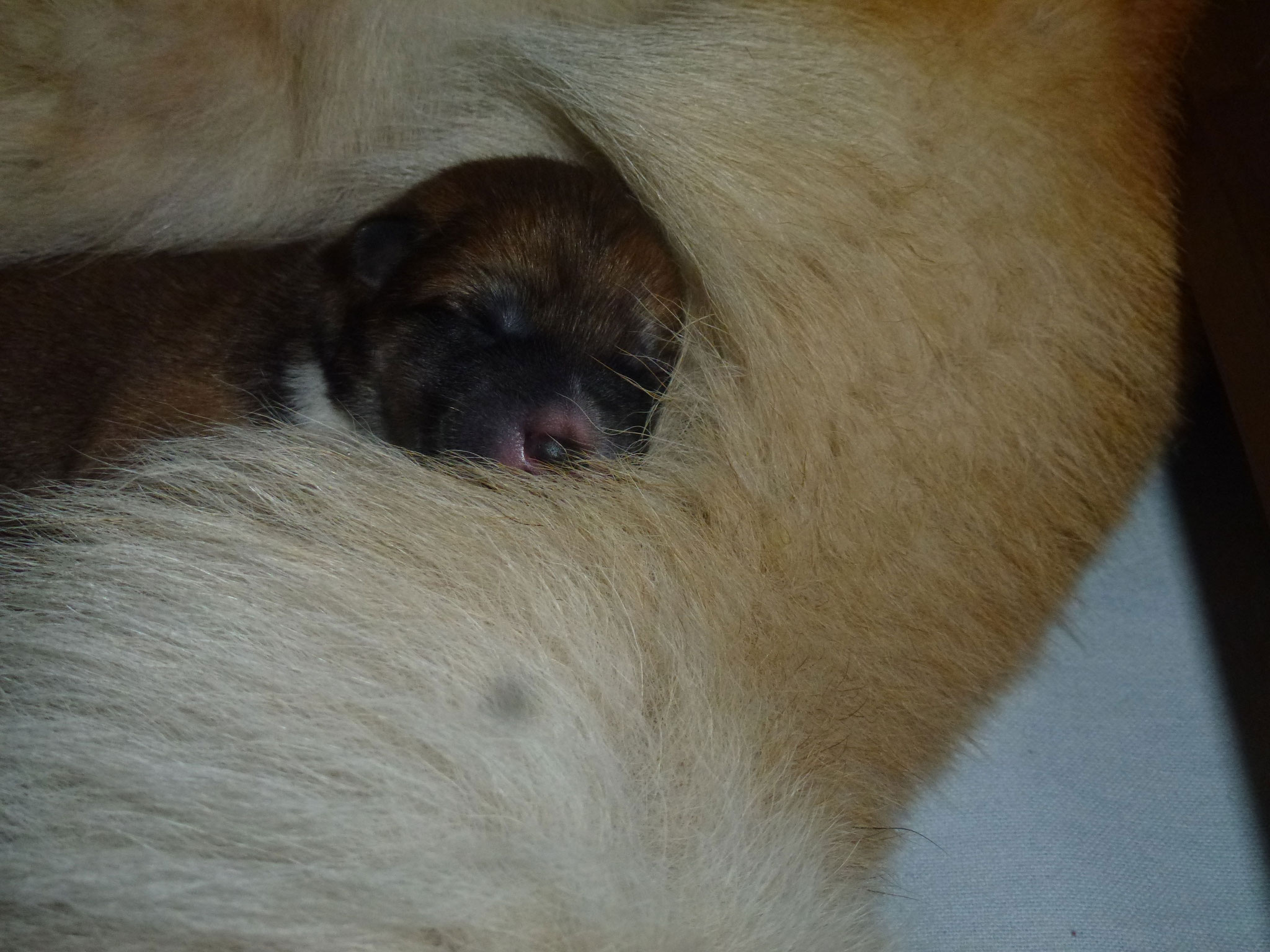 bei Mama ist es so schön warm und weich
