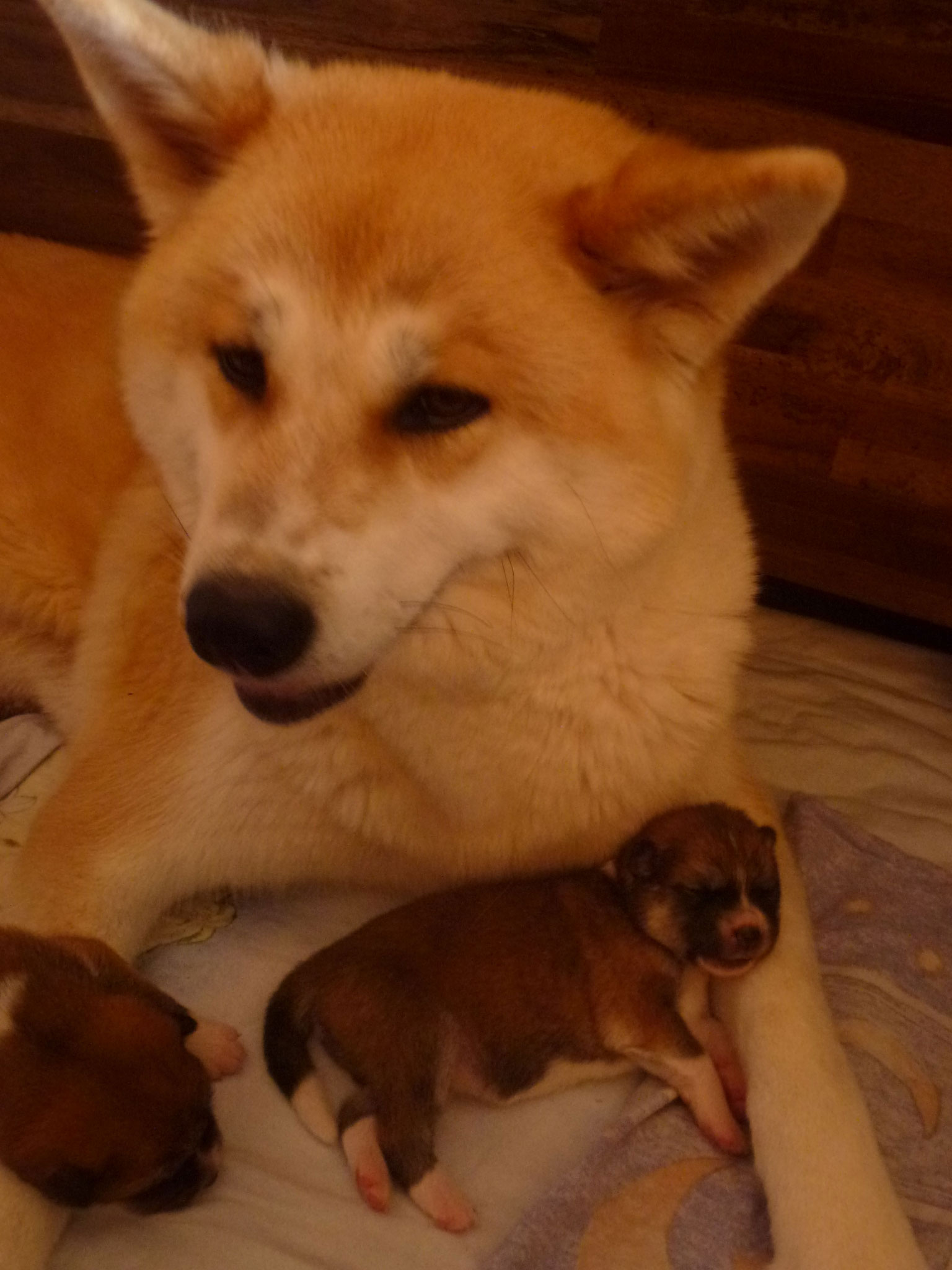 bei Mama im Arm eingeschlafen
