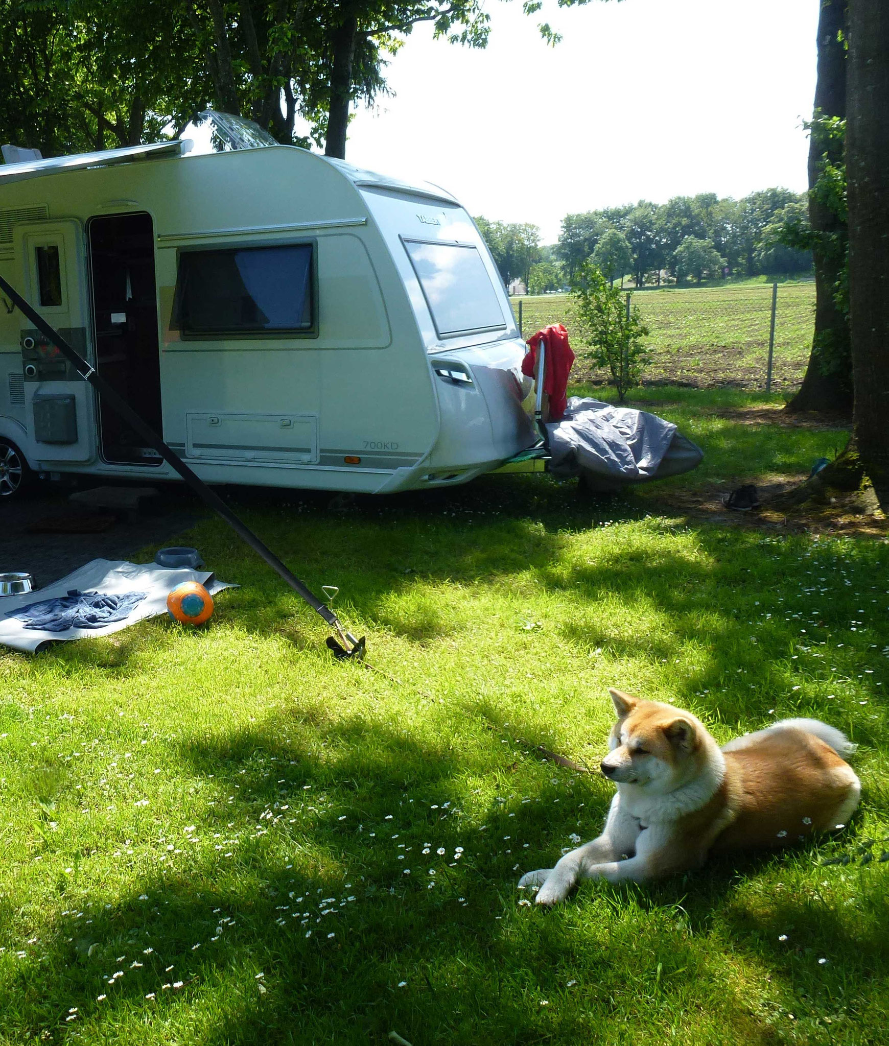 Strandcamping Waging am See