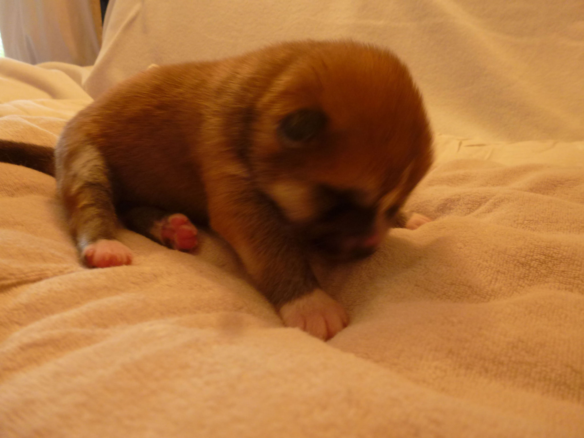 6 Tage