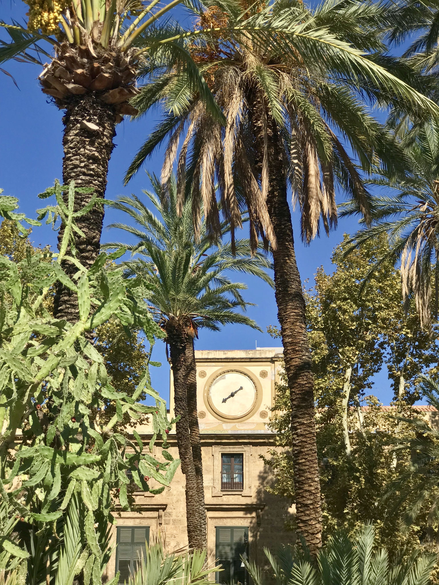 Palermo