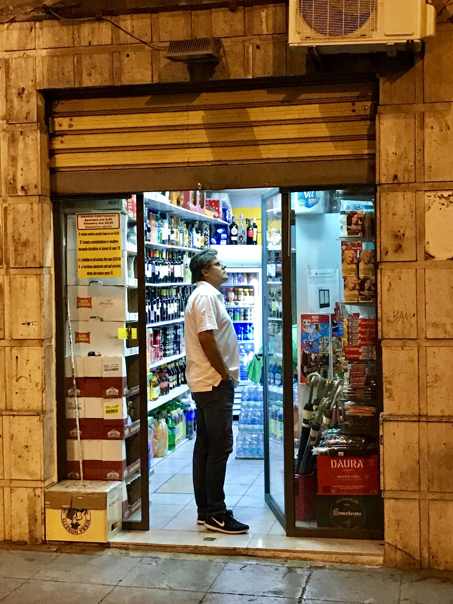 Palermo. Corvina
