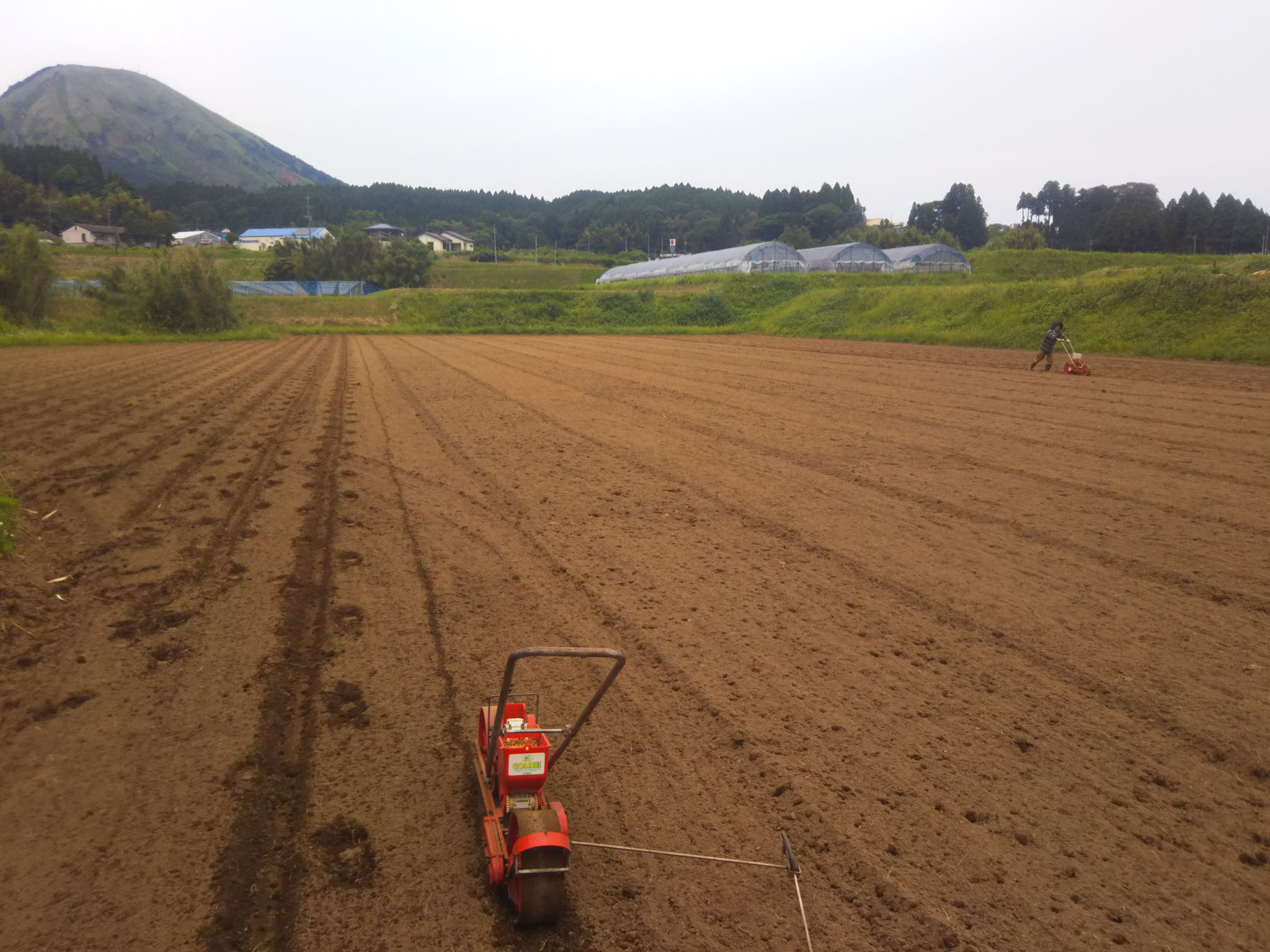 1、手押しの種蒔き機で大豆の種まき。結構スグレモノ。