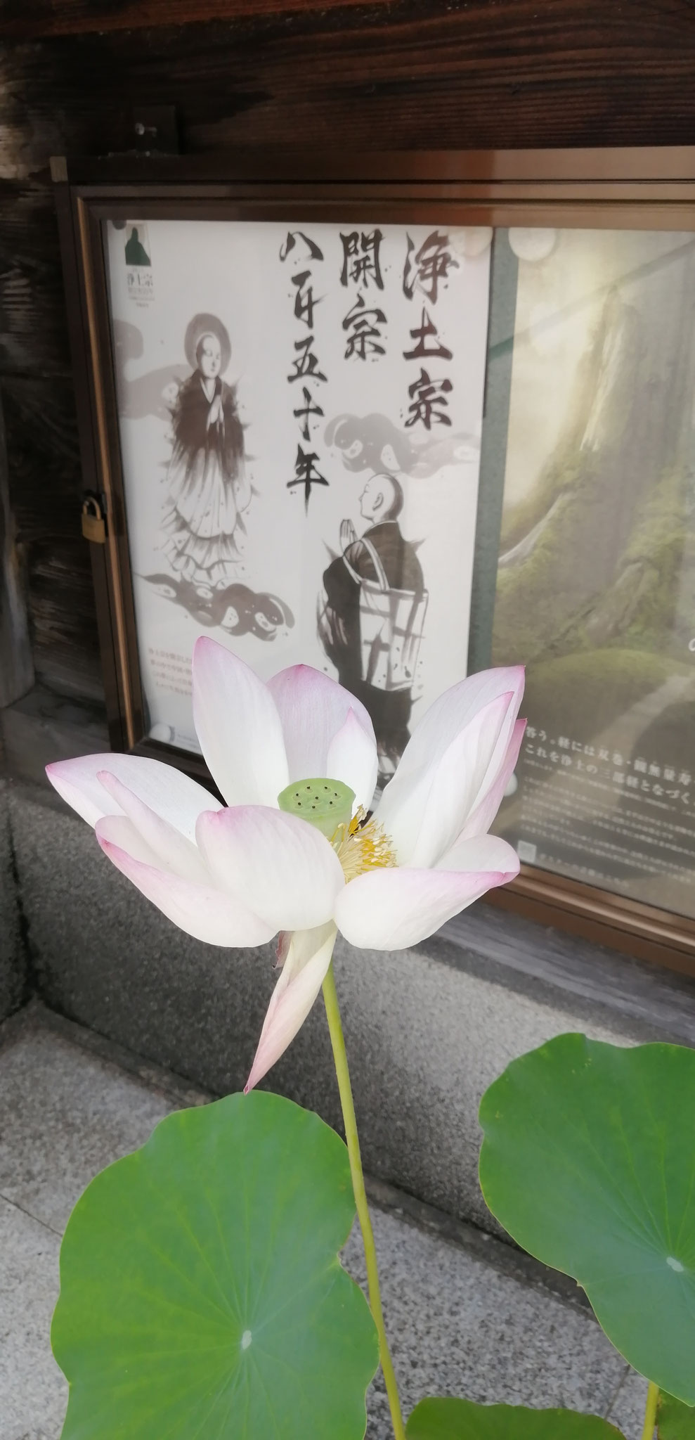 門前の重水華　二祖対面