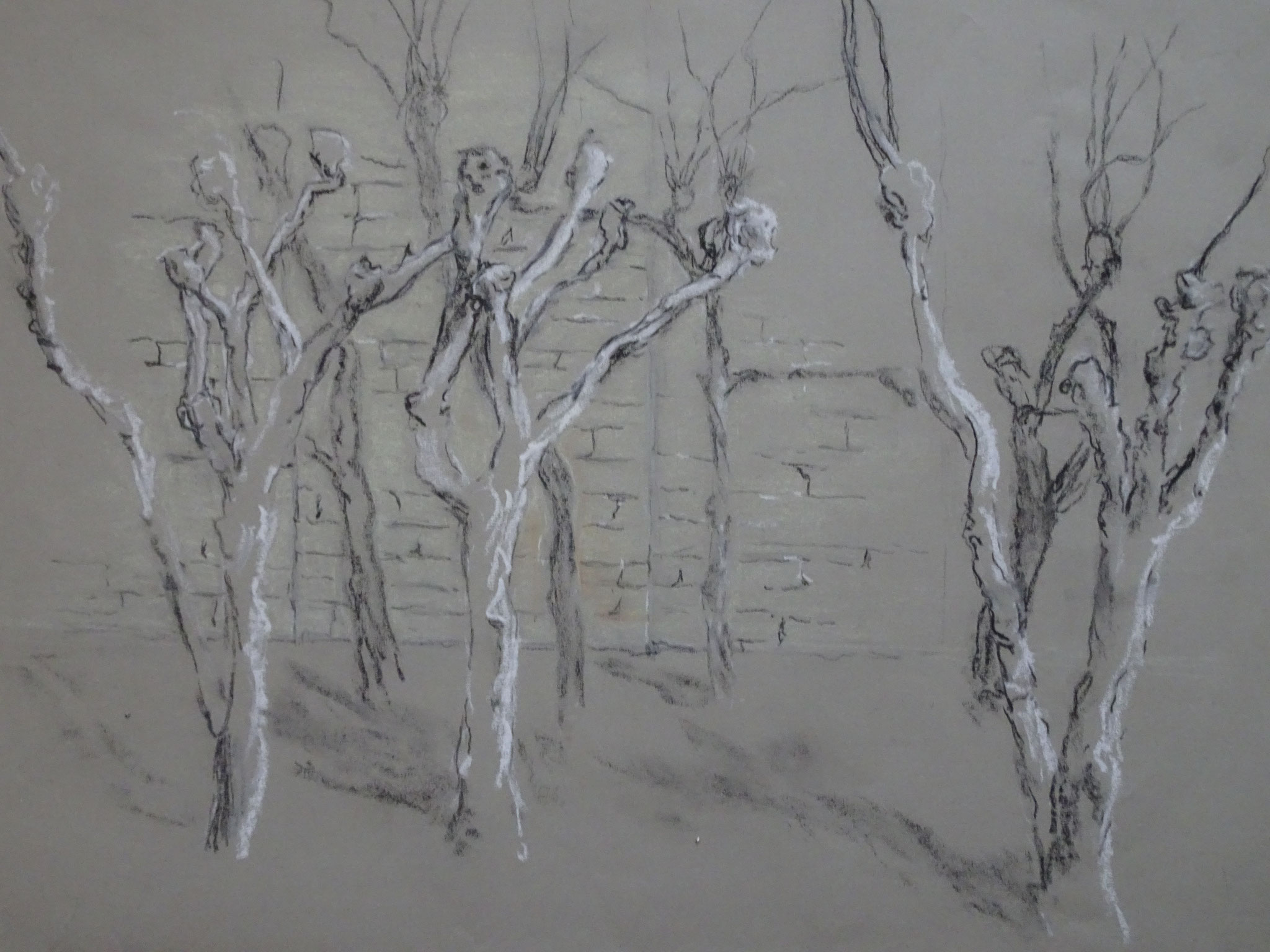 verwurzelt;   -      Kreide, 40x60cm