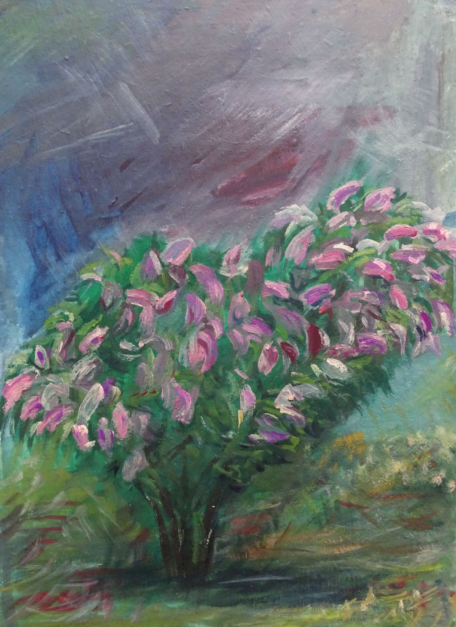 flieder bei gewitter;    -   Öl auf Pappe 31x41cm