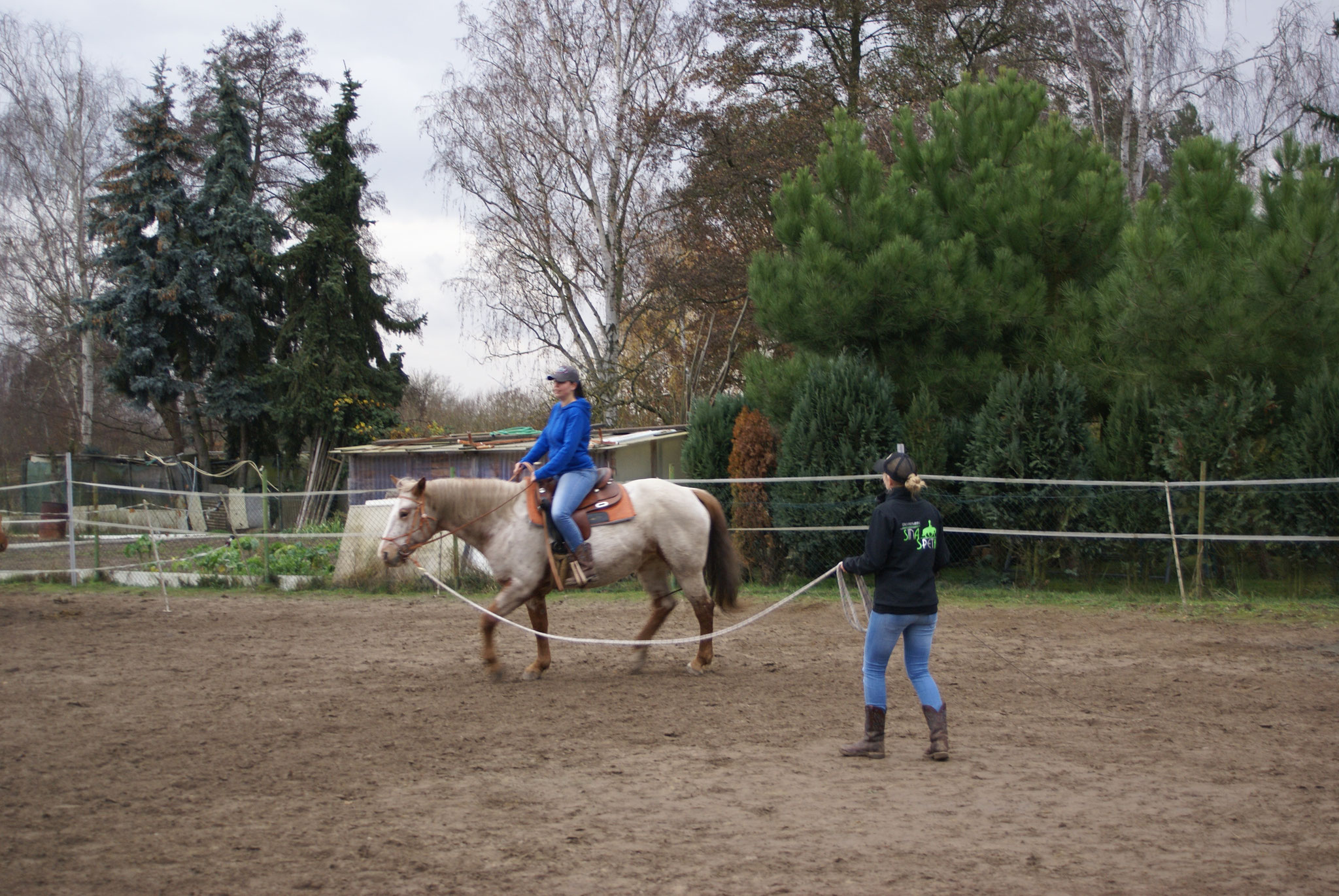 Sitzschulung an der Longe