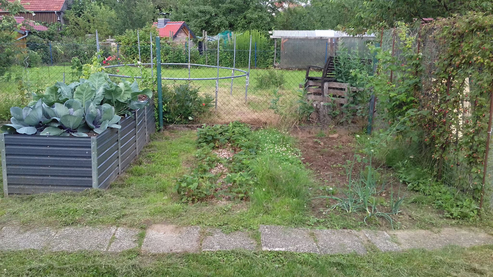 Gemüsegarten für jeden 