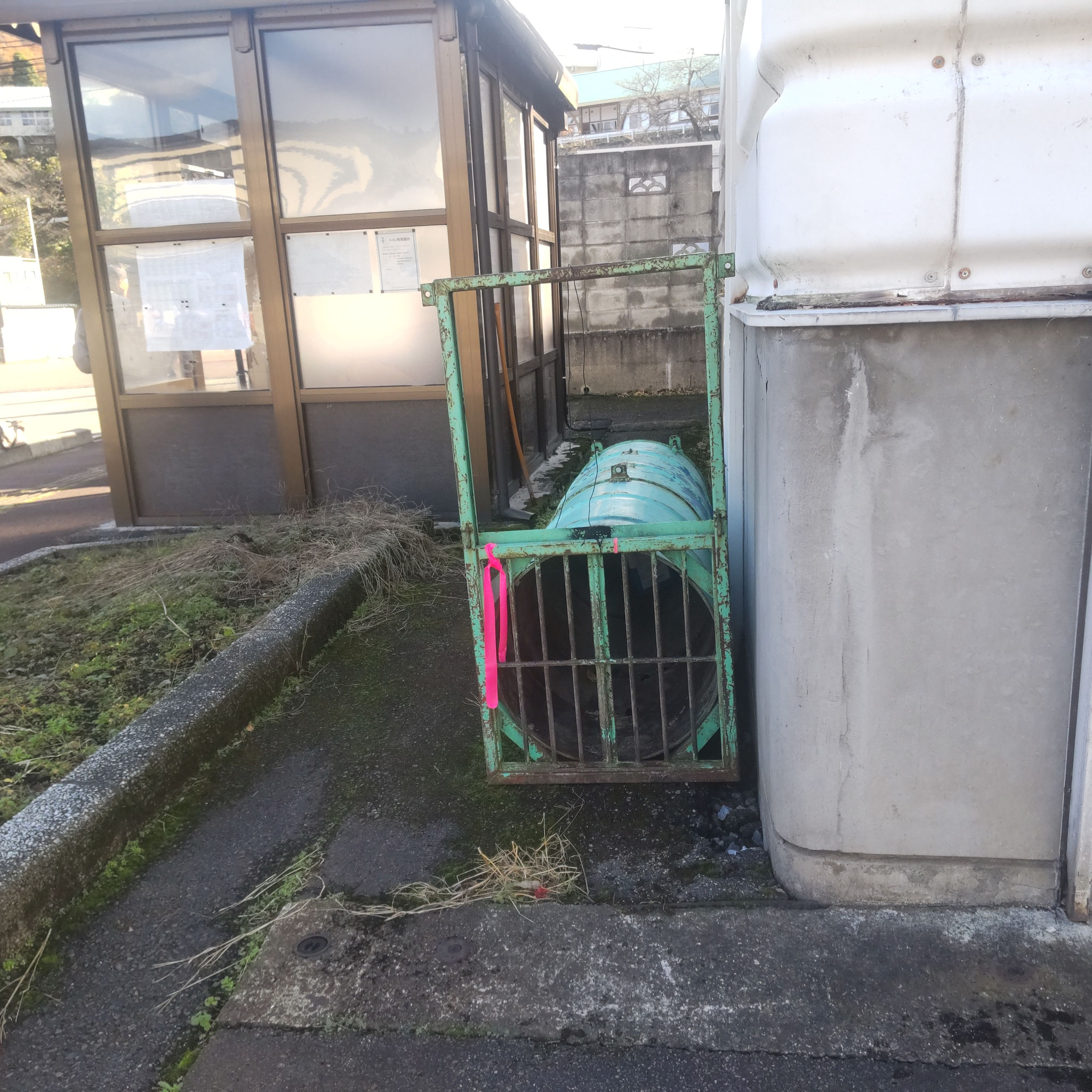 今年はクマ被害が甚大です