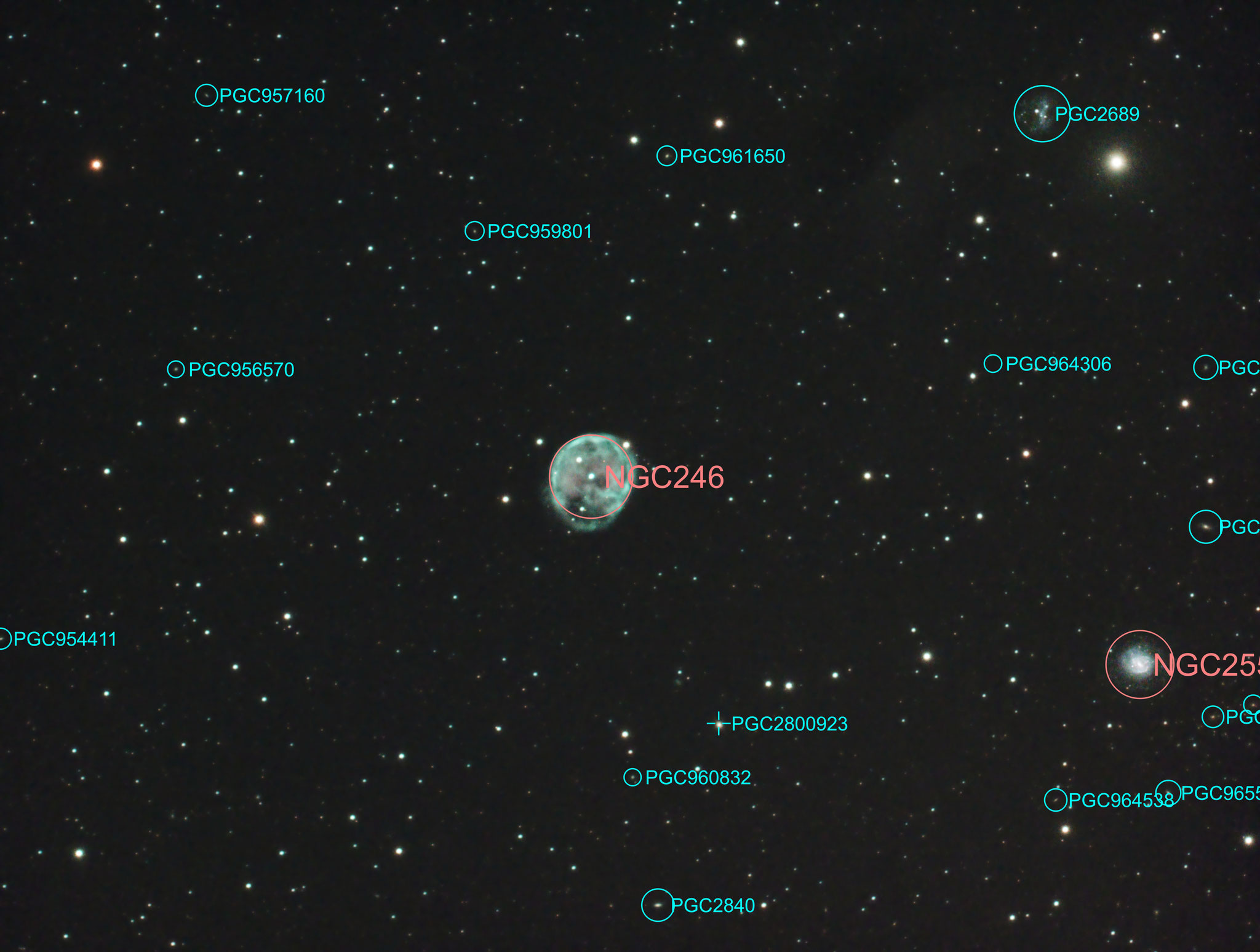 NGC246 mit Umgebung astrometriert