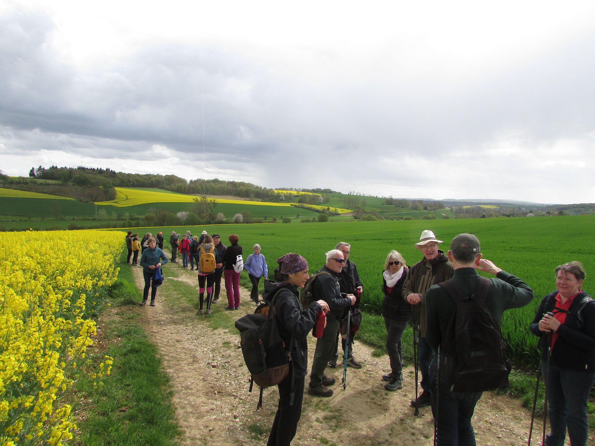 Rando nature autour de Blicourt - avril 2026