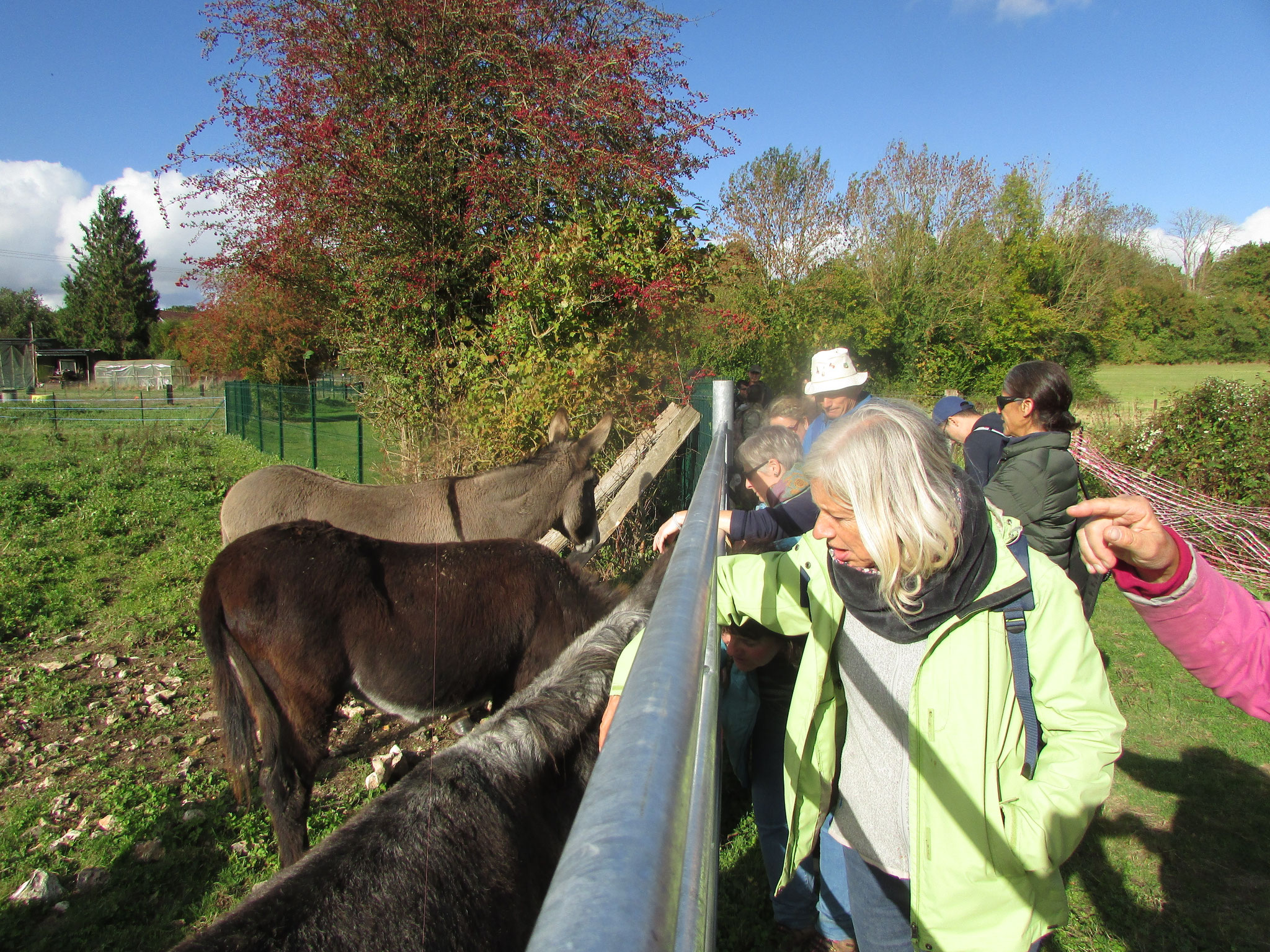 Randonnée nature autour de Martincourt - octobre 2025