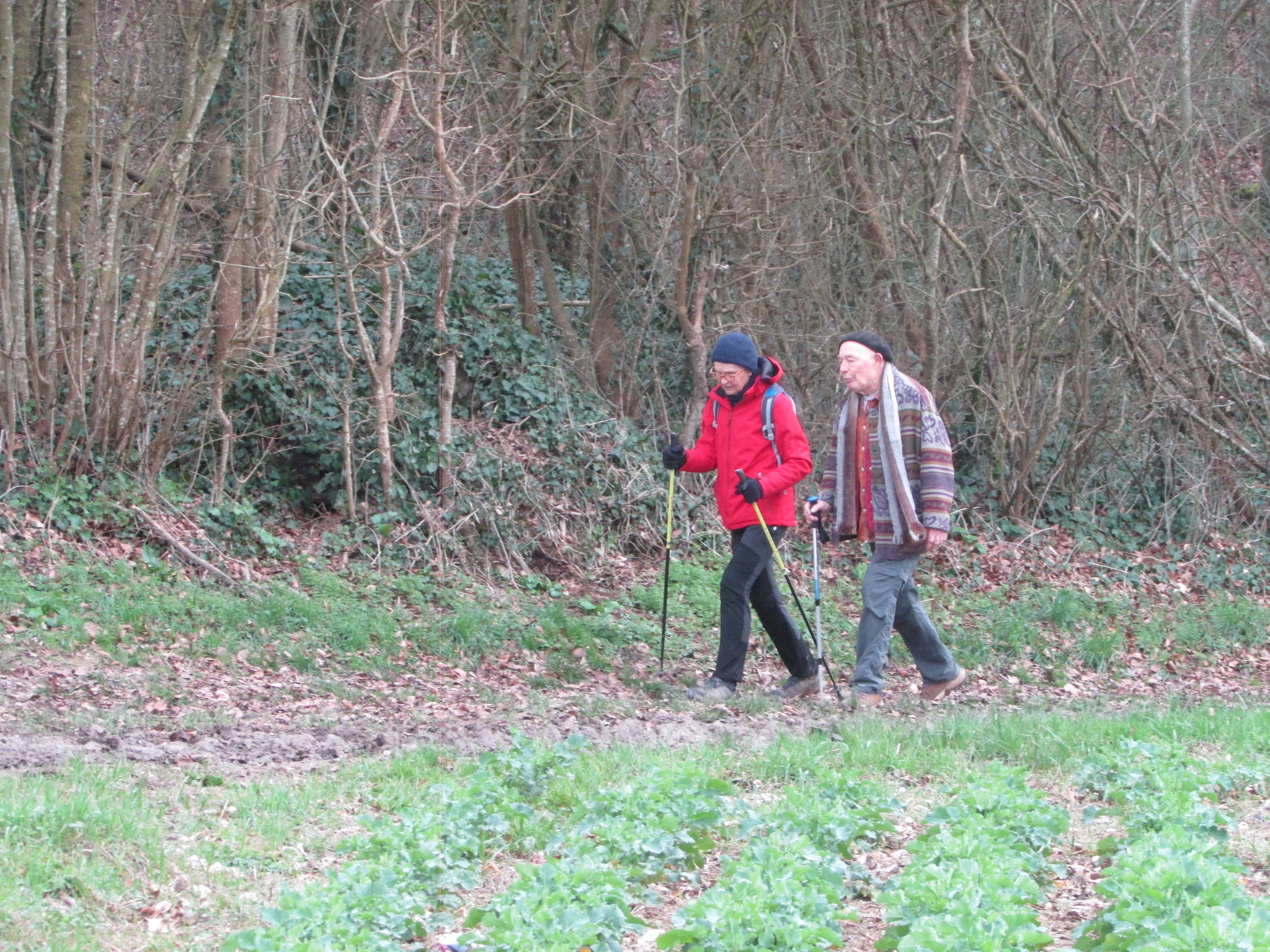 Rando nature autour de Roy Boissy - mars 2026