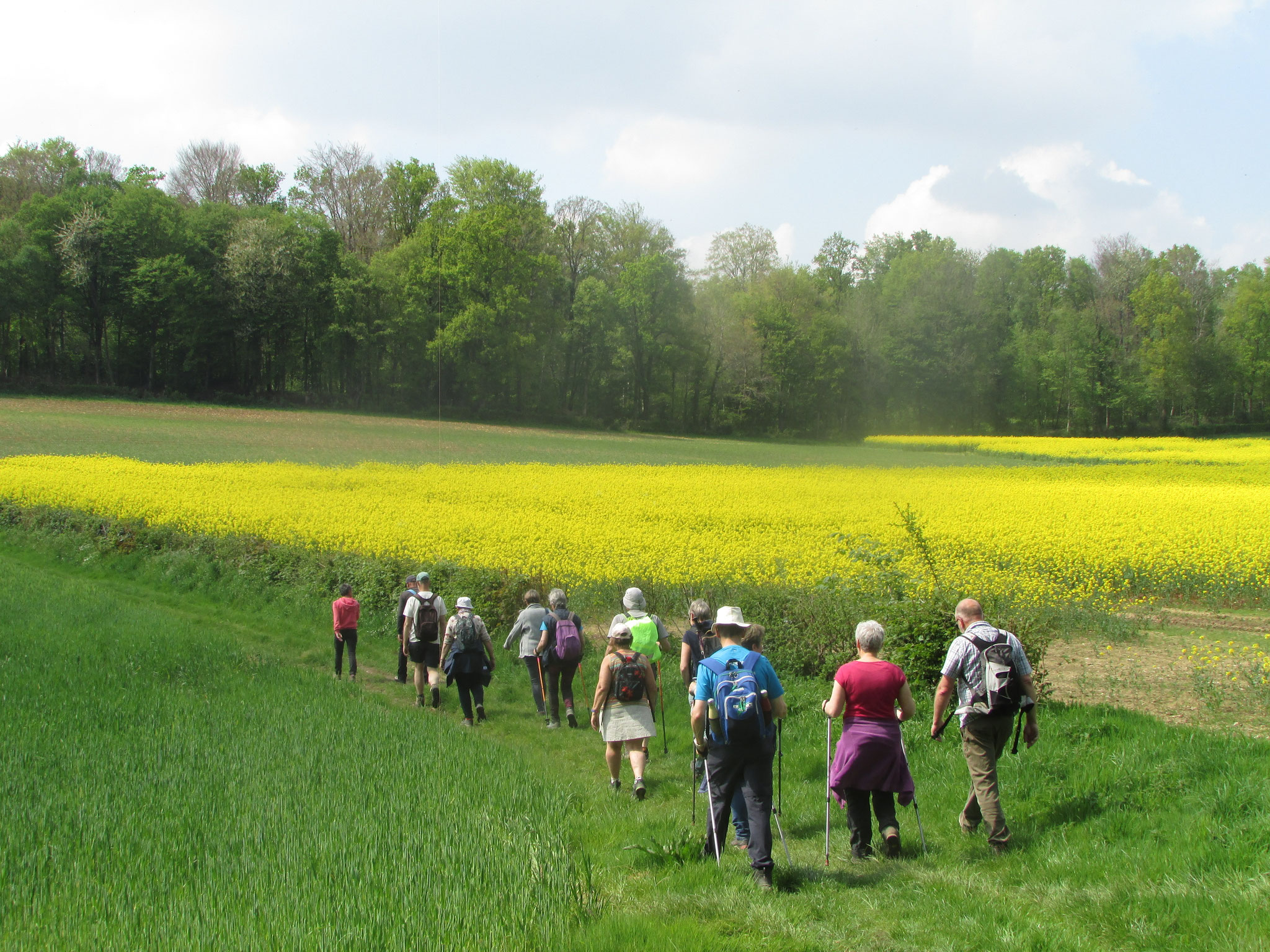 Randonnée nature à Saint Arnoult - avril 2025