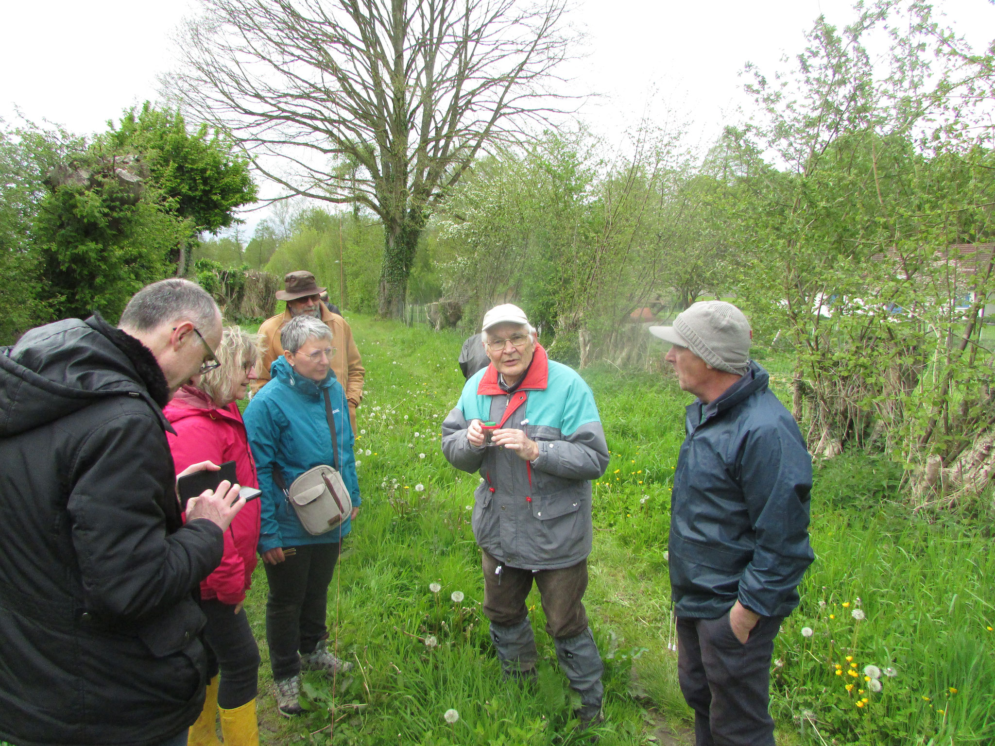 A la découverte des bords de chemins - avril 2024