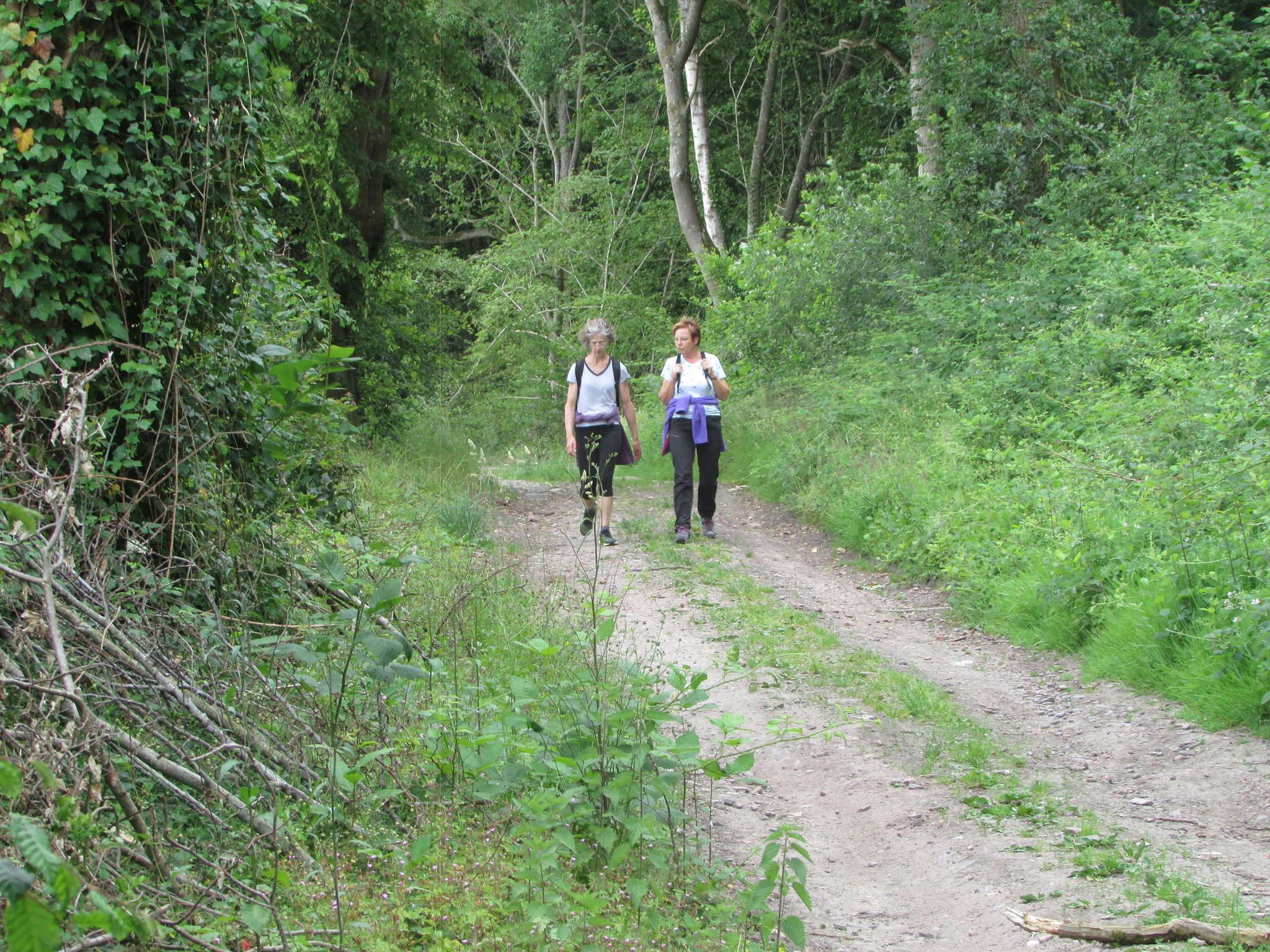 rando nature autour de St Germer de Fly - mai 2026
