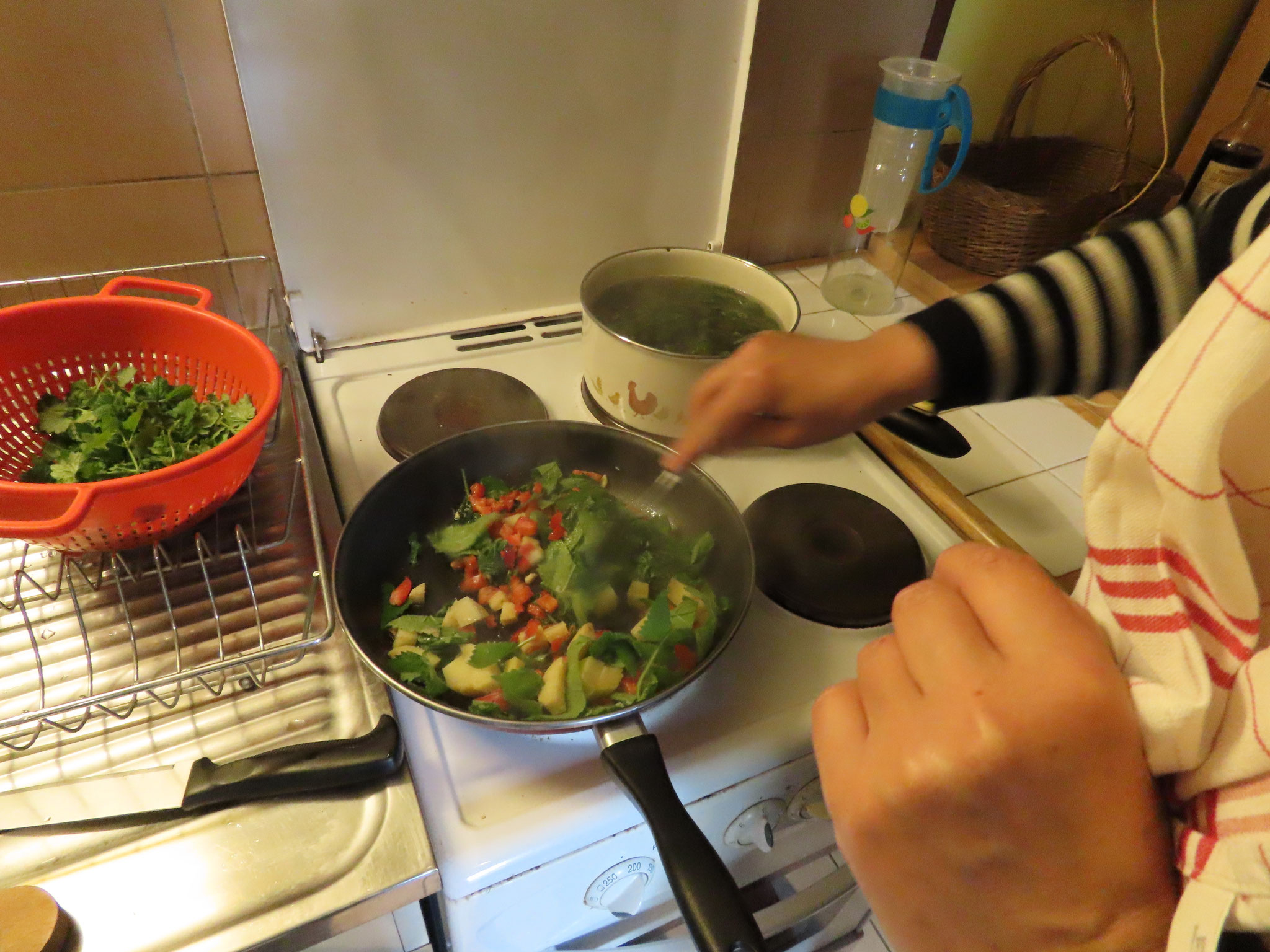 Nature et Cuisine Sauvage - mai 2026