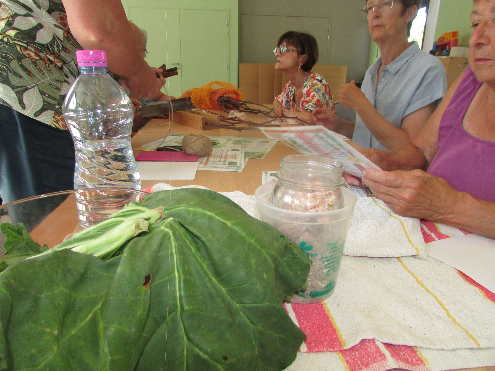 Atelier jardin naturel - juin 2025