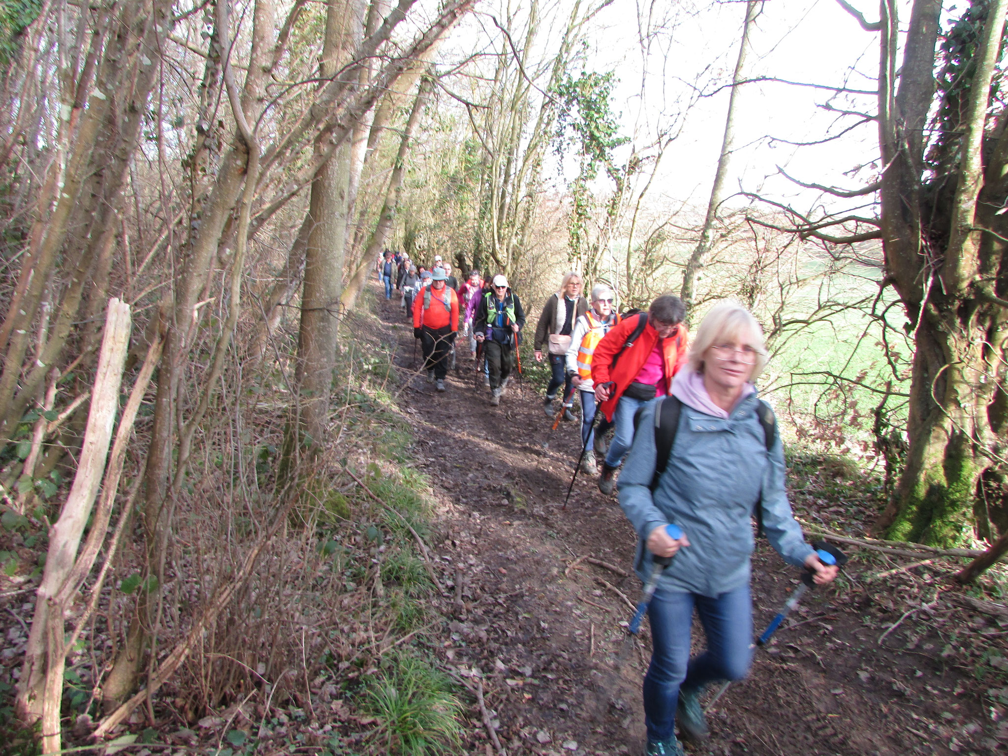 Rando nature autour de Gerberoy - février 2026