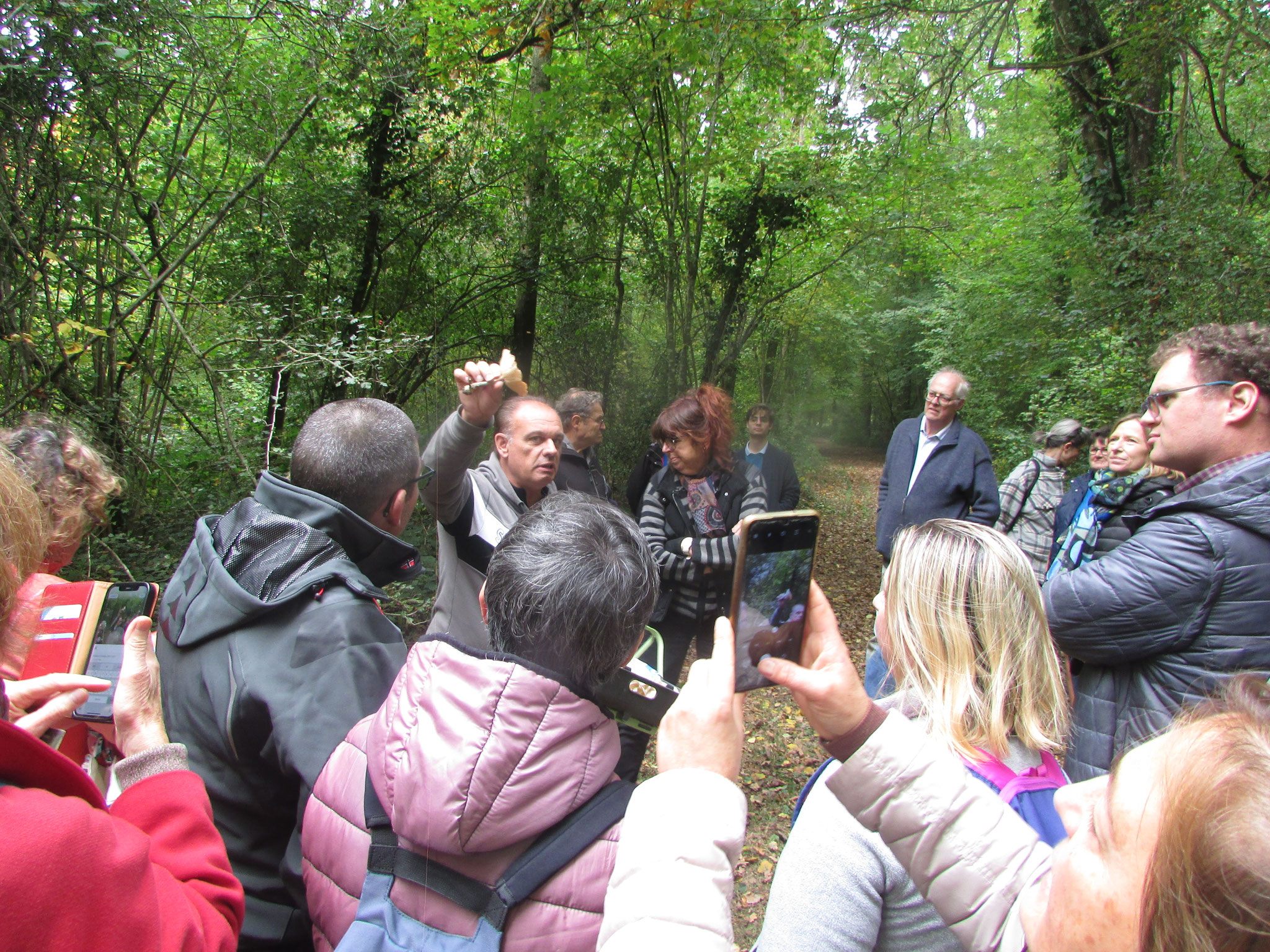Tout sur les champignons - octobre 2025