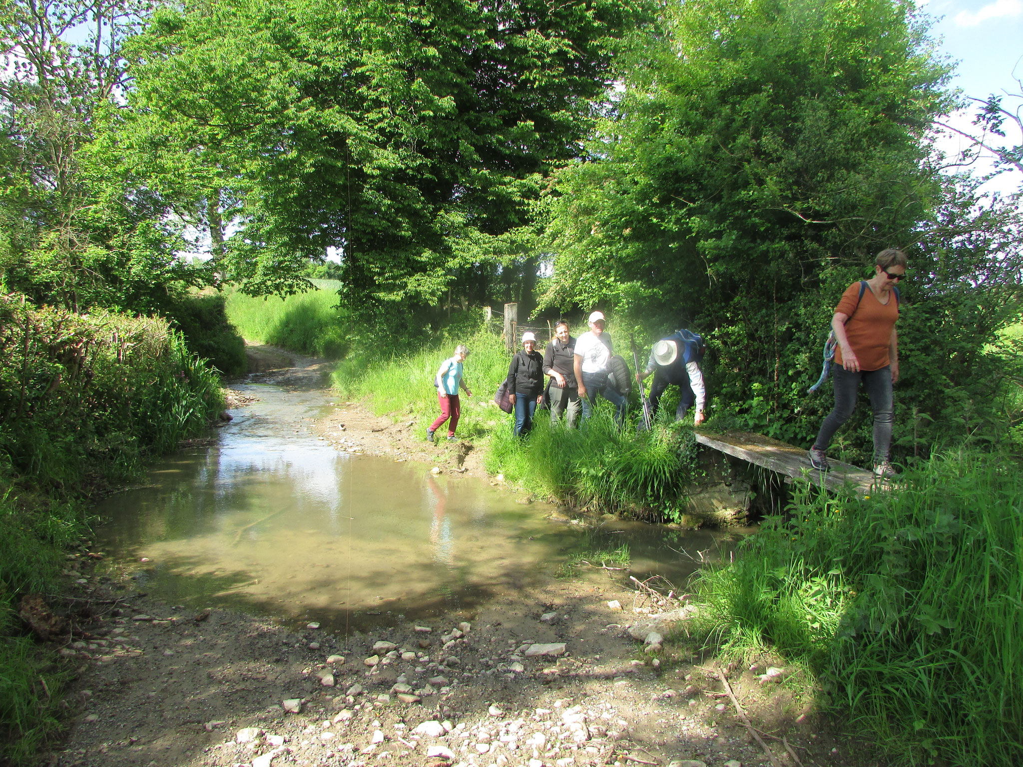 Randonnée nature à Villers sur Auchy - mai 2025