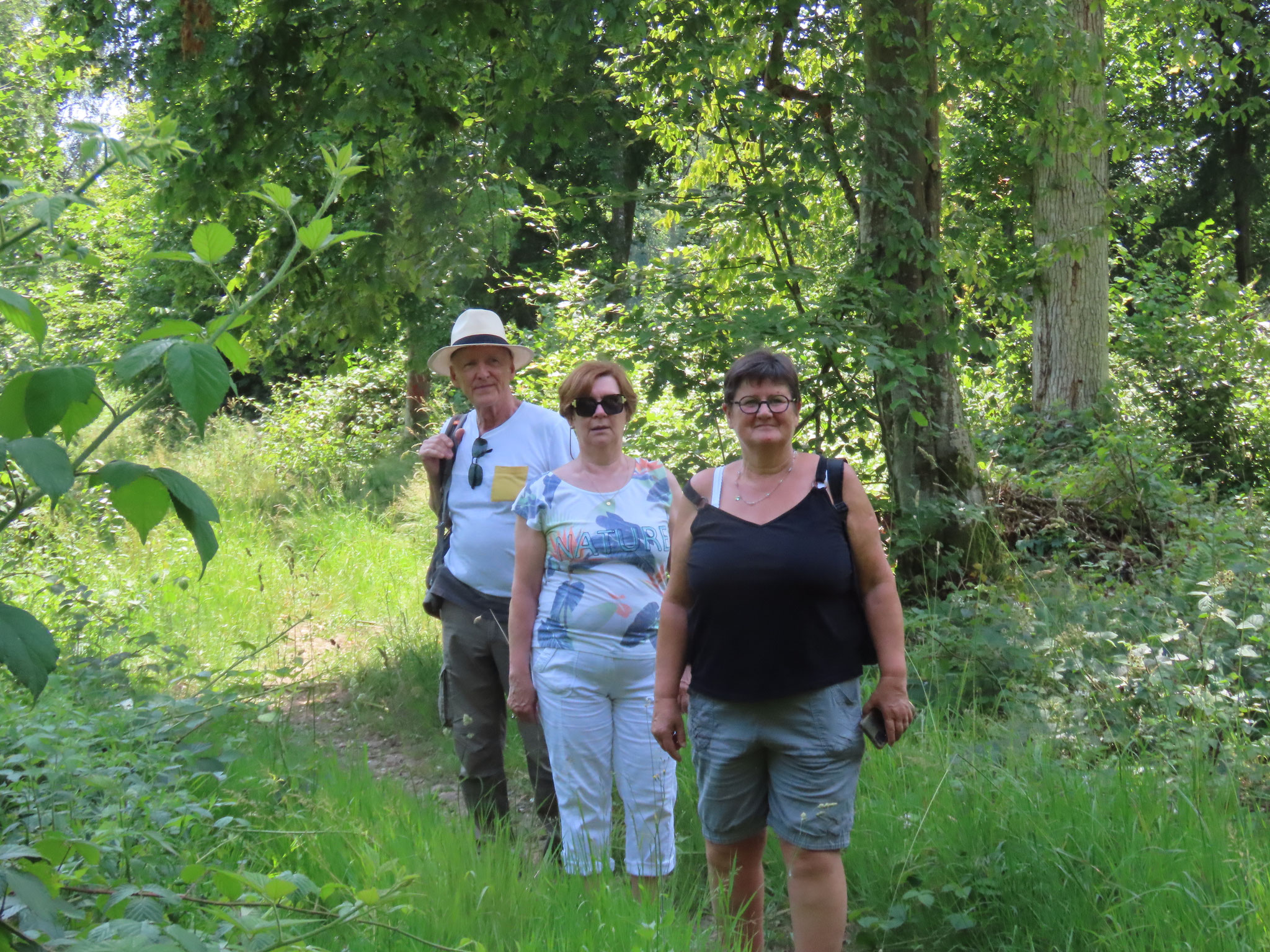 A la découverte de la forêt - juin 2026