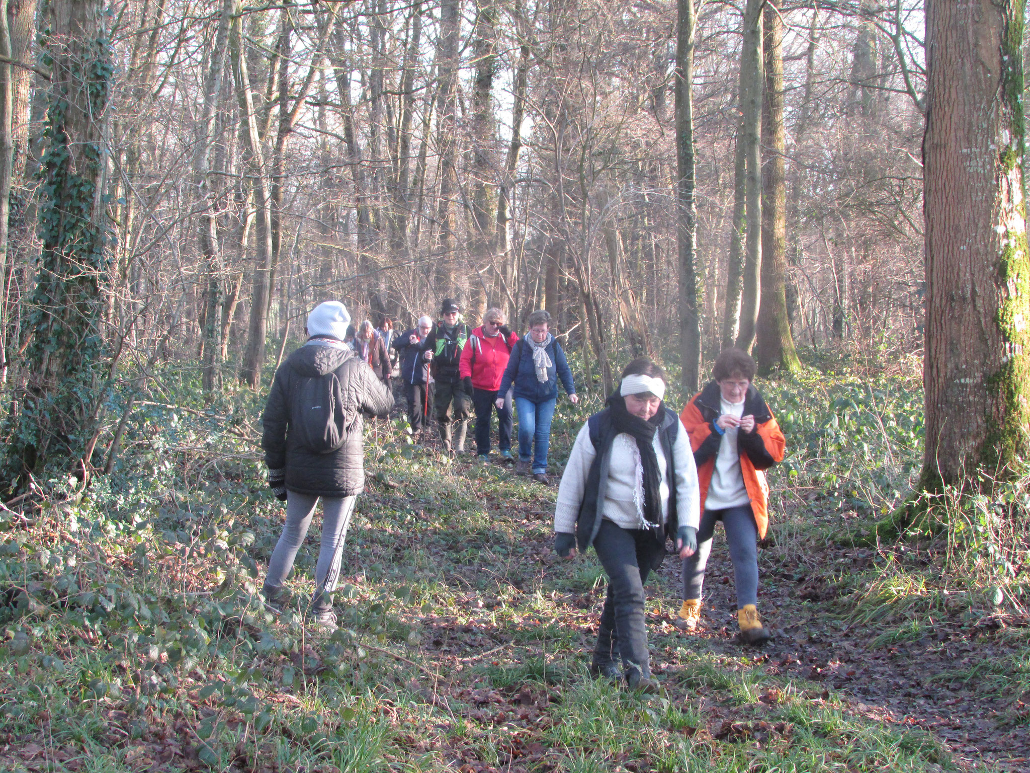 Randonnée nature à La Chapelle ss Gerberoy - février 2025
