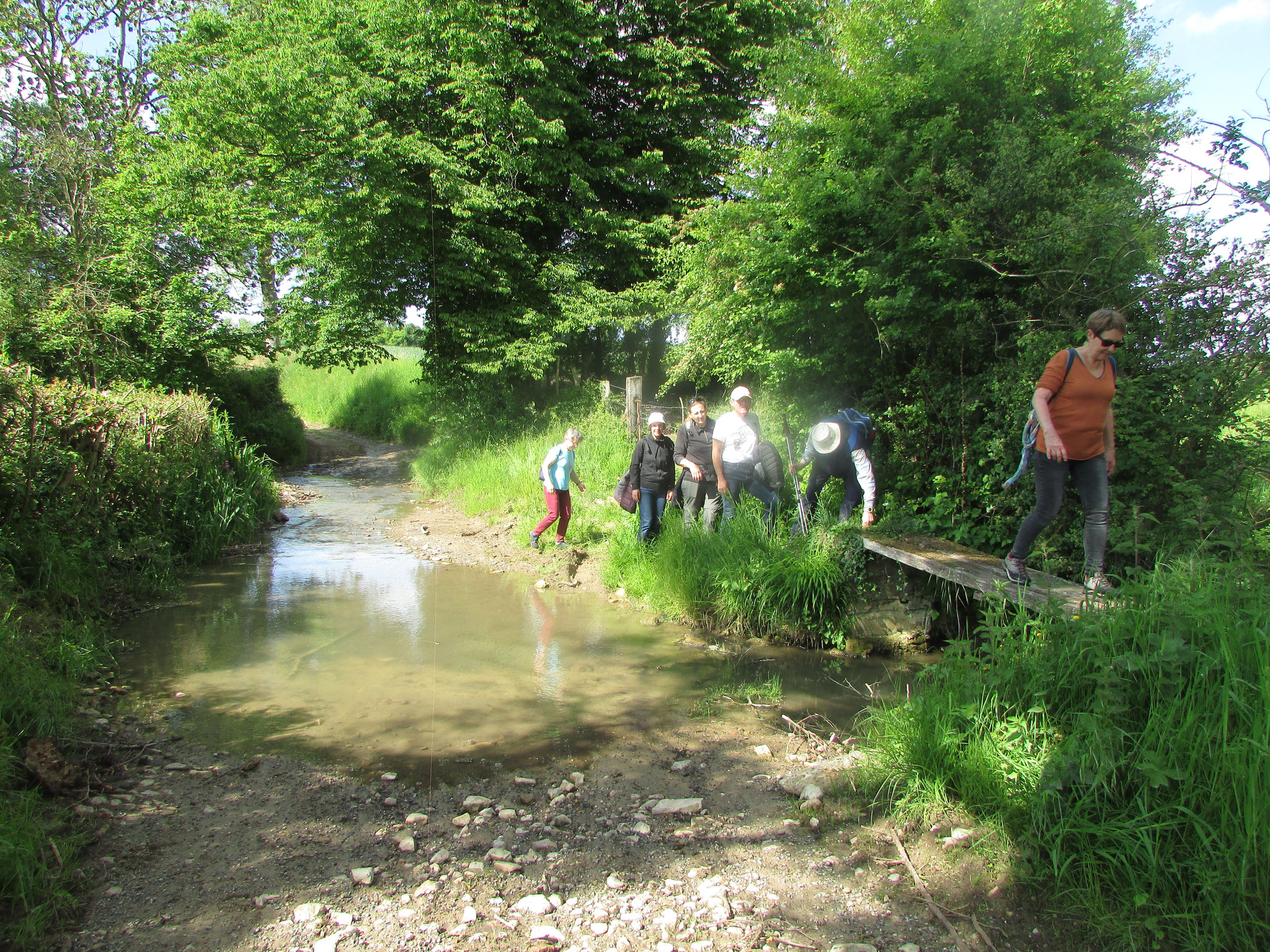 Randonnée nature à Villers sur Auchy - mai 2025